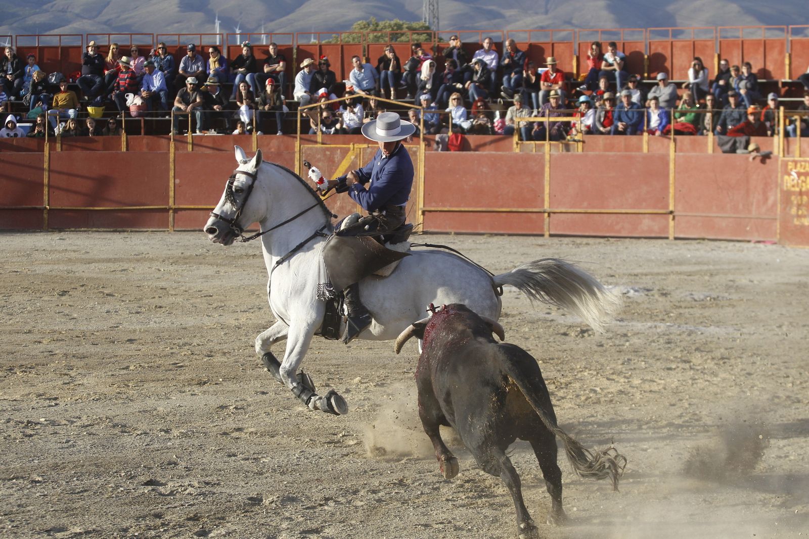 Fotogalería Festival Taurino Mixto. Fiestas de Abrucena.