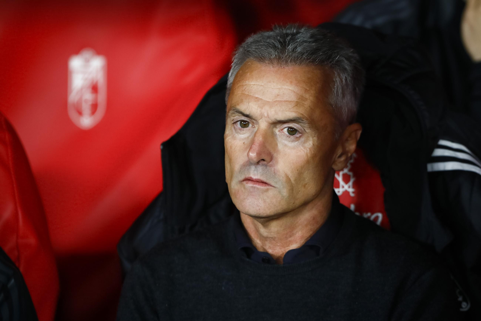 Fran Escribá, en el banquillo de Los Cármenes.