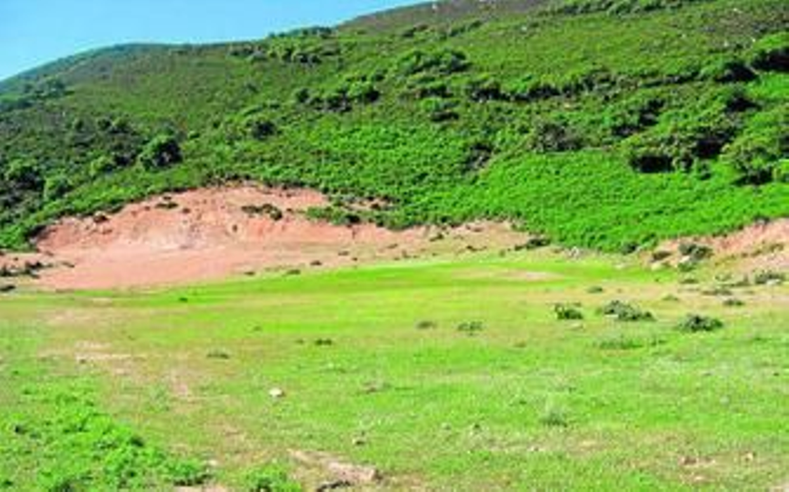 Vista parcial de los terrenos de la finca Cortijo de Botafuegos, en la zona de Majadal Alto.