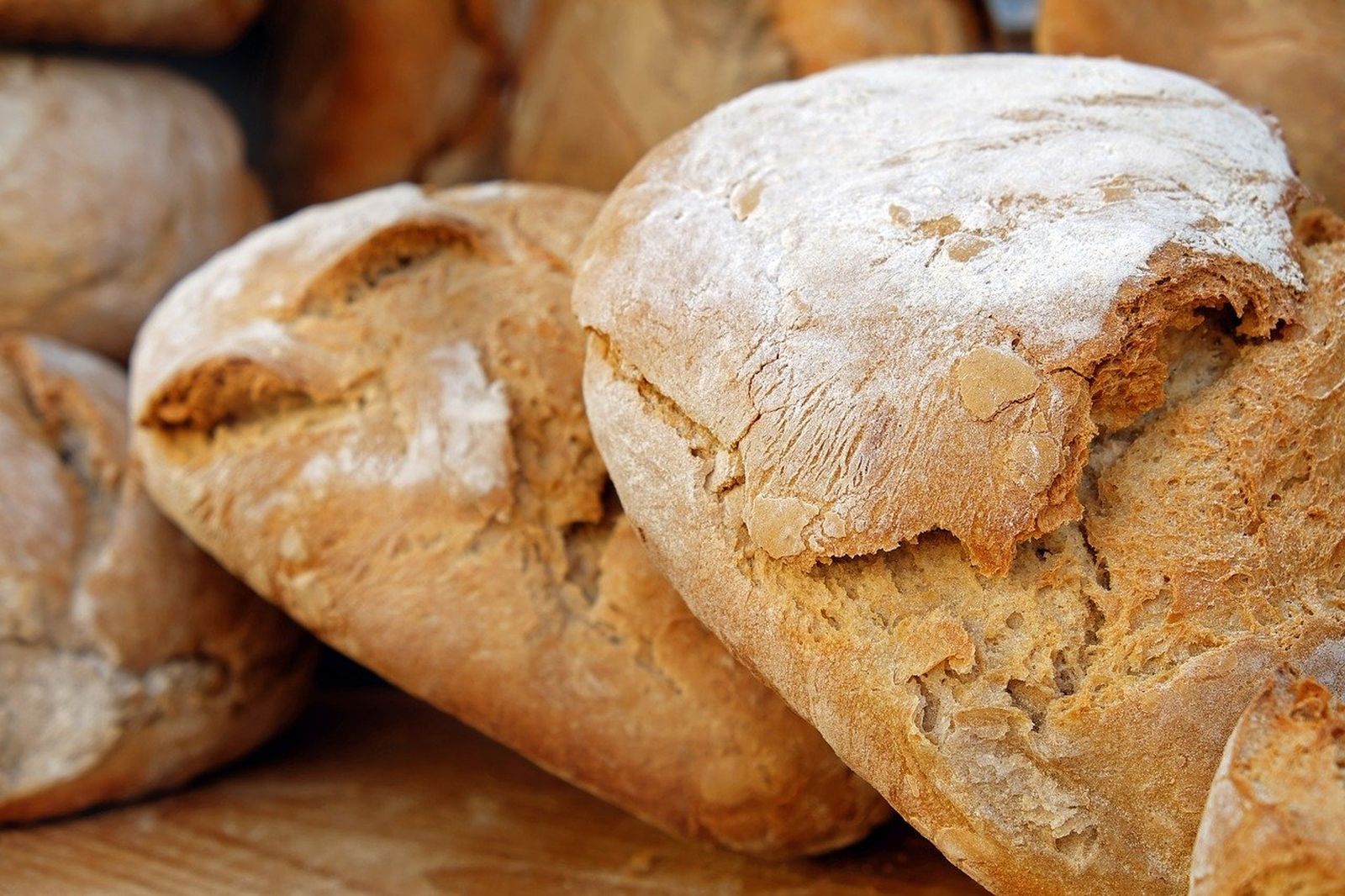 Dos panaderías campogibraltareñas en la Ruta del Buen Pan de Andalucía