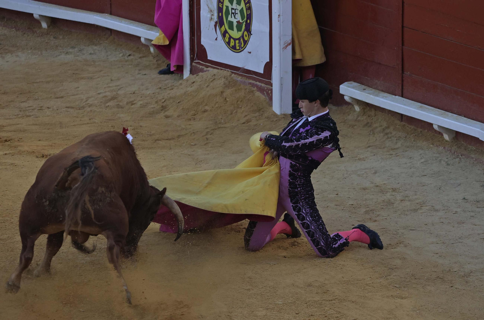 Fotos de la novillada sin picadores del miércoles de la Feria Real de Algeciras 2025