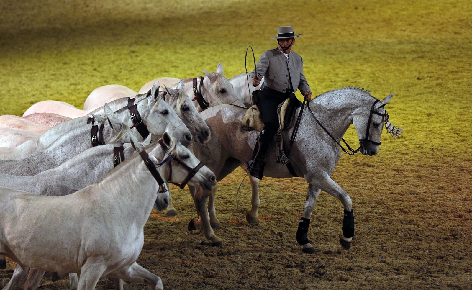Inauguración de Sicab 2017