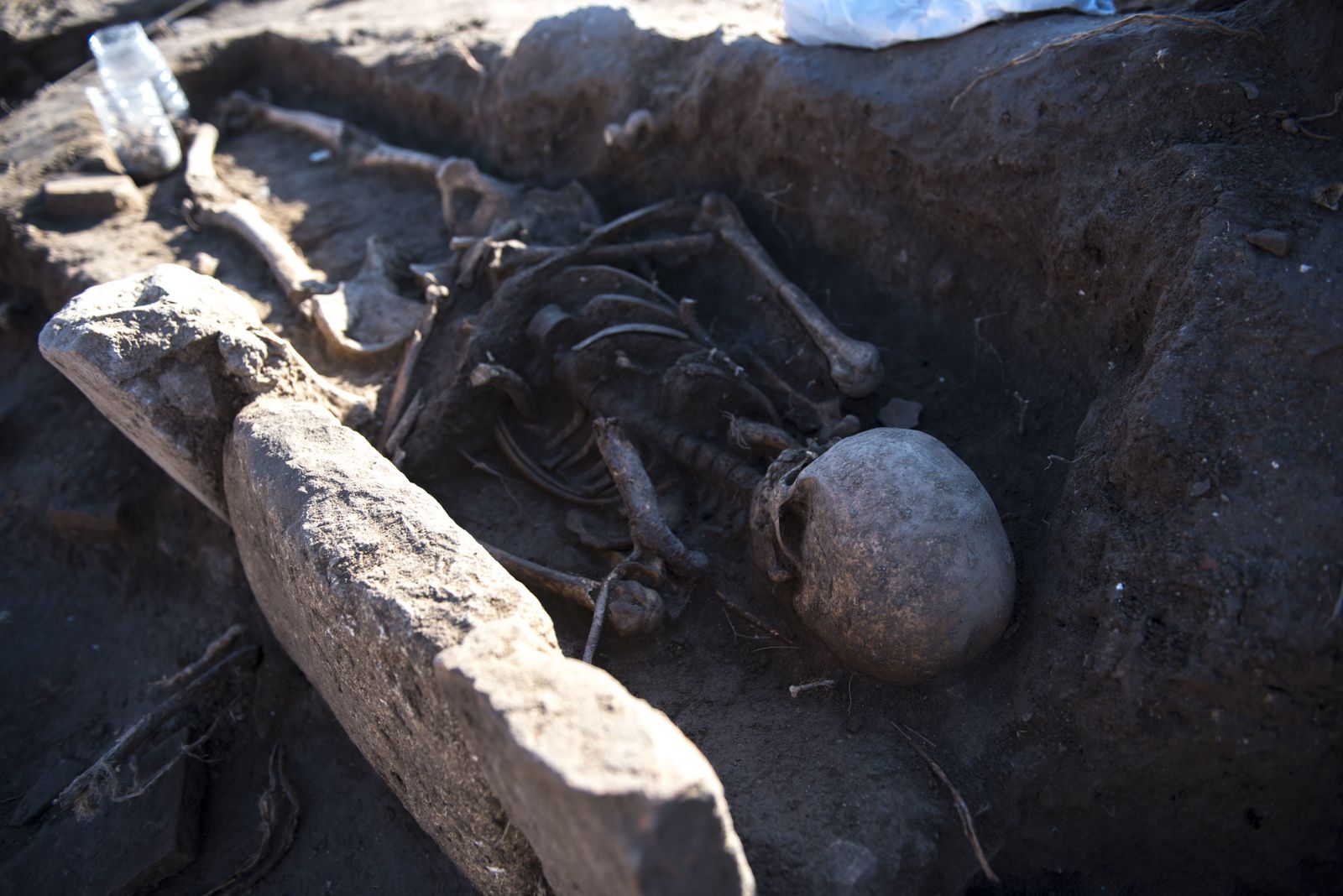 Nuevos hallazgos en Los Mondragones