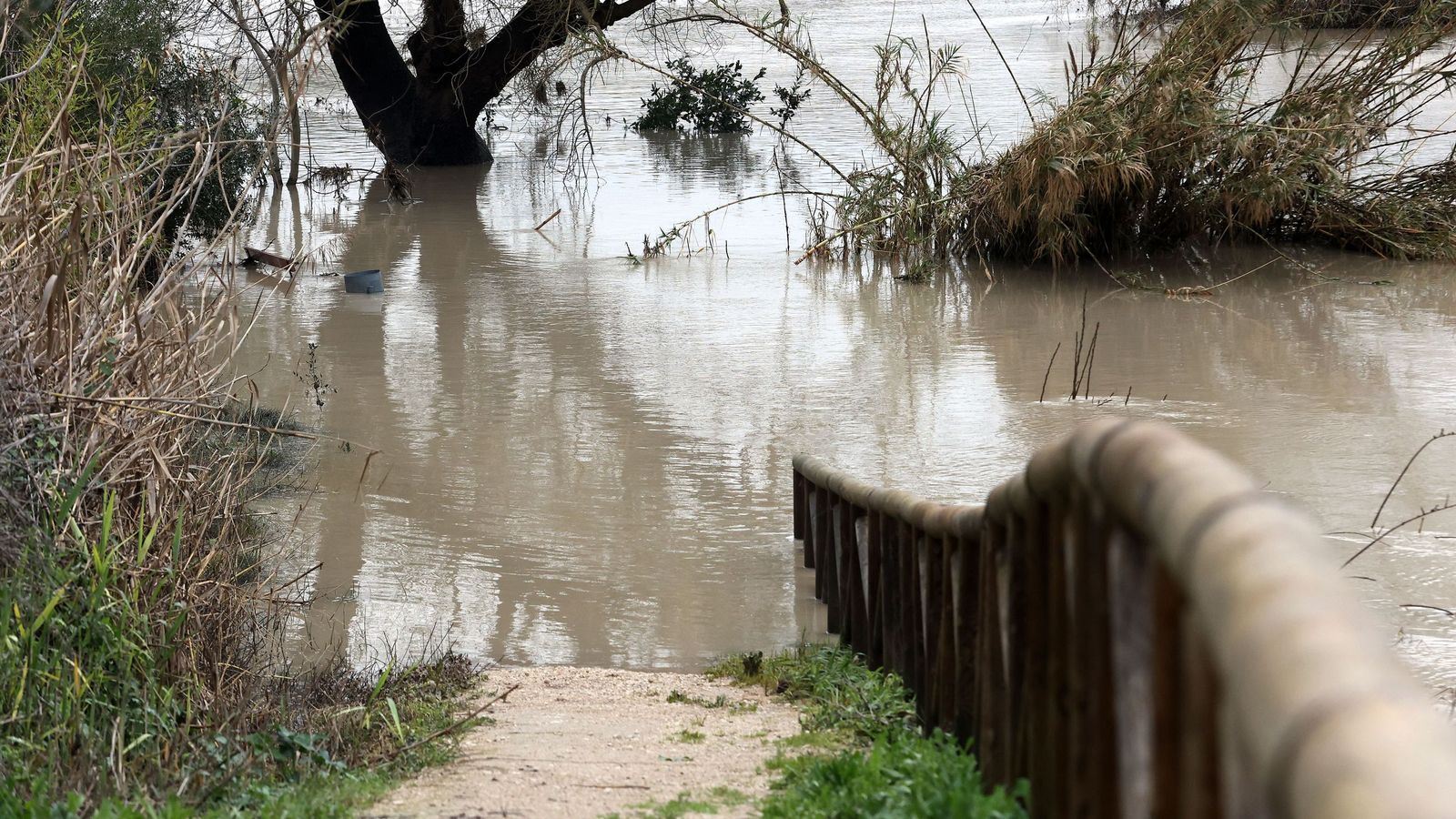 Ruta por la zona rural inundada de Jerez