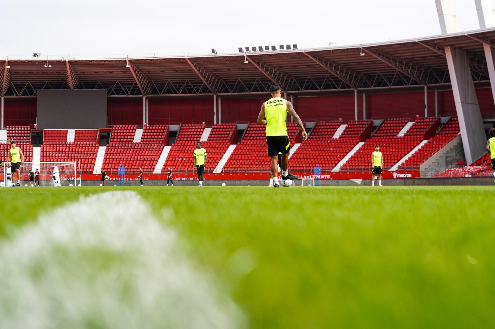 El césped ya luce renovado