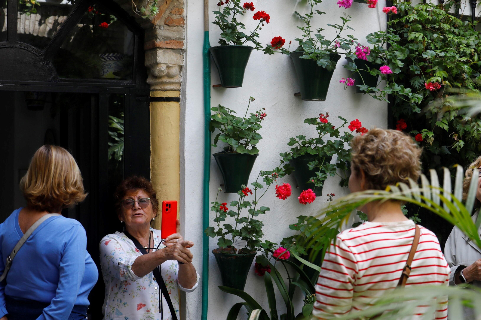 Los patios de Córdoba de la ruta Judería-San Francisco, en imágenes