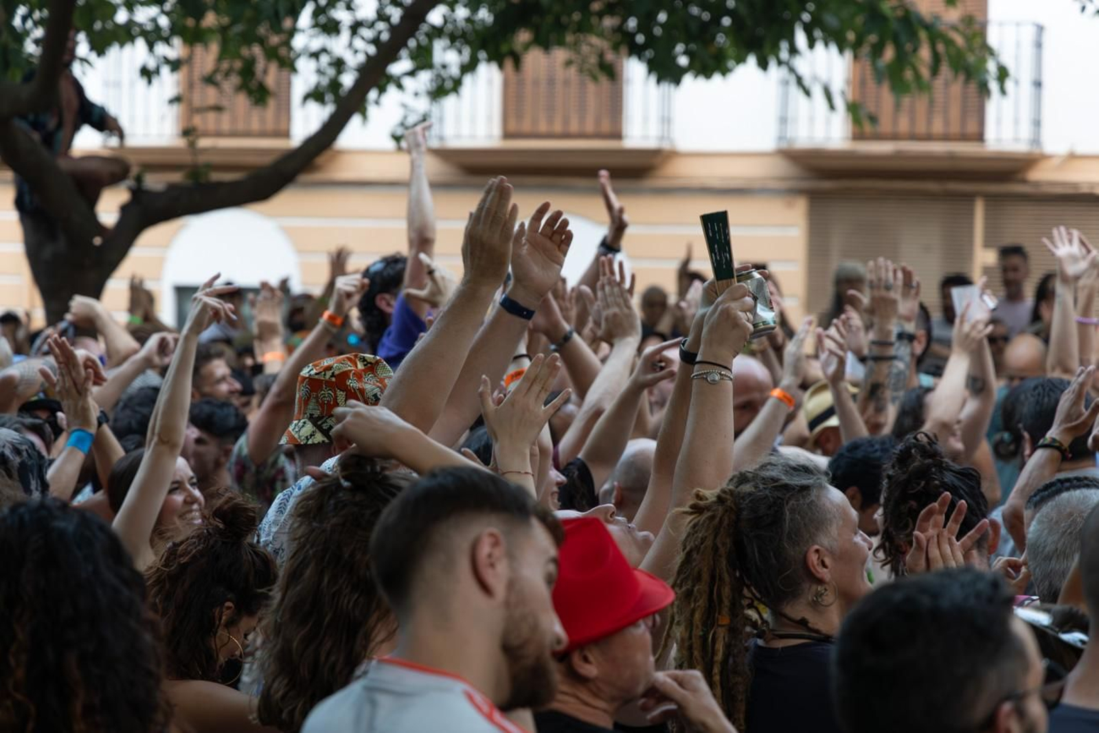 Etnosur, una fiesta multicultural que no para, en imágenes