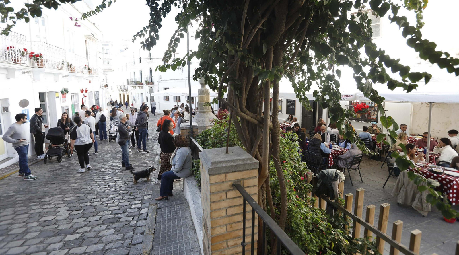 Fotos de la Ruta del Ibérico en Tarifa en el puente de diciembre