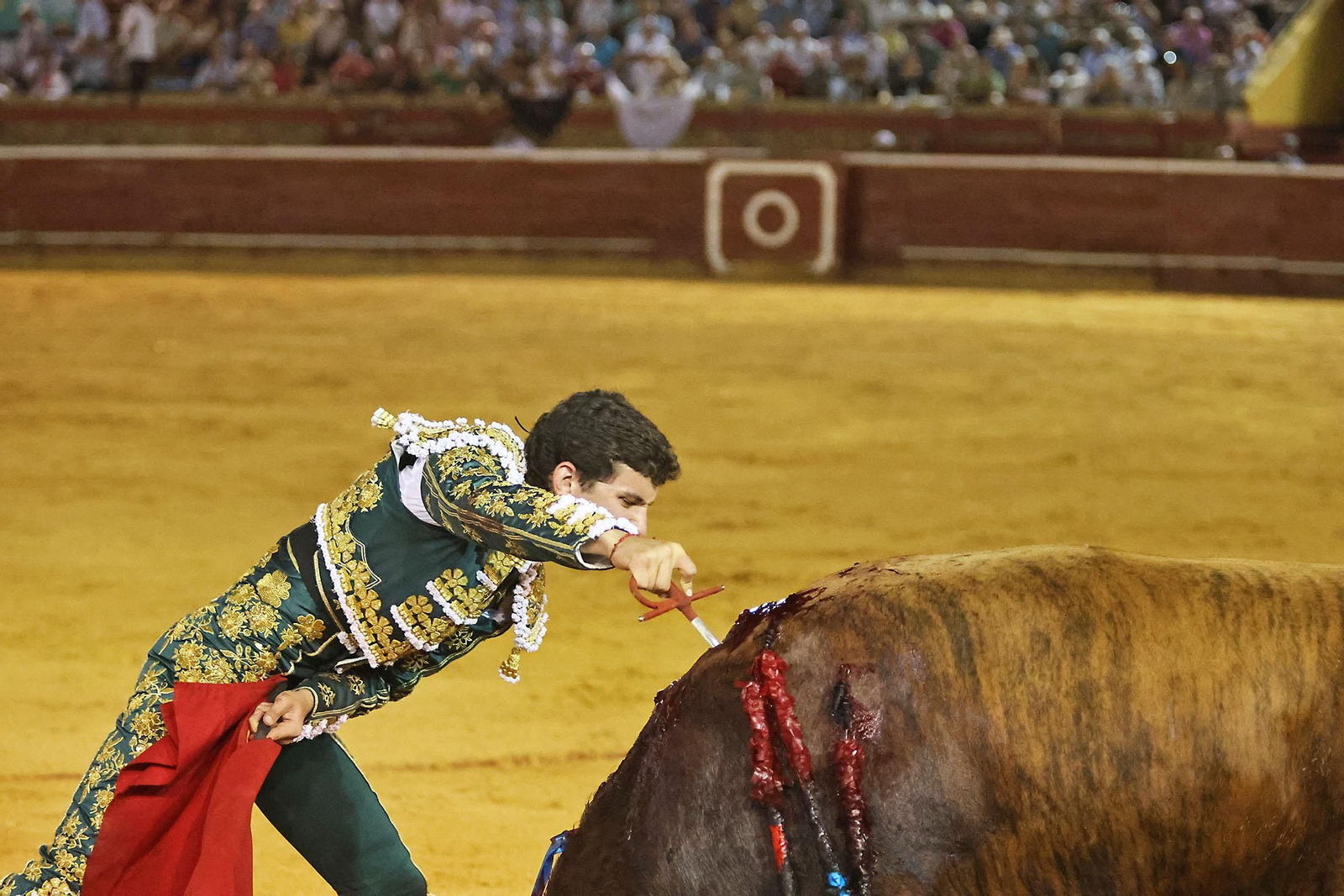 Toros La Merced 2024 Novillada con picadores(
