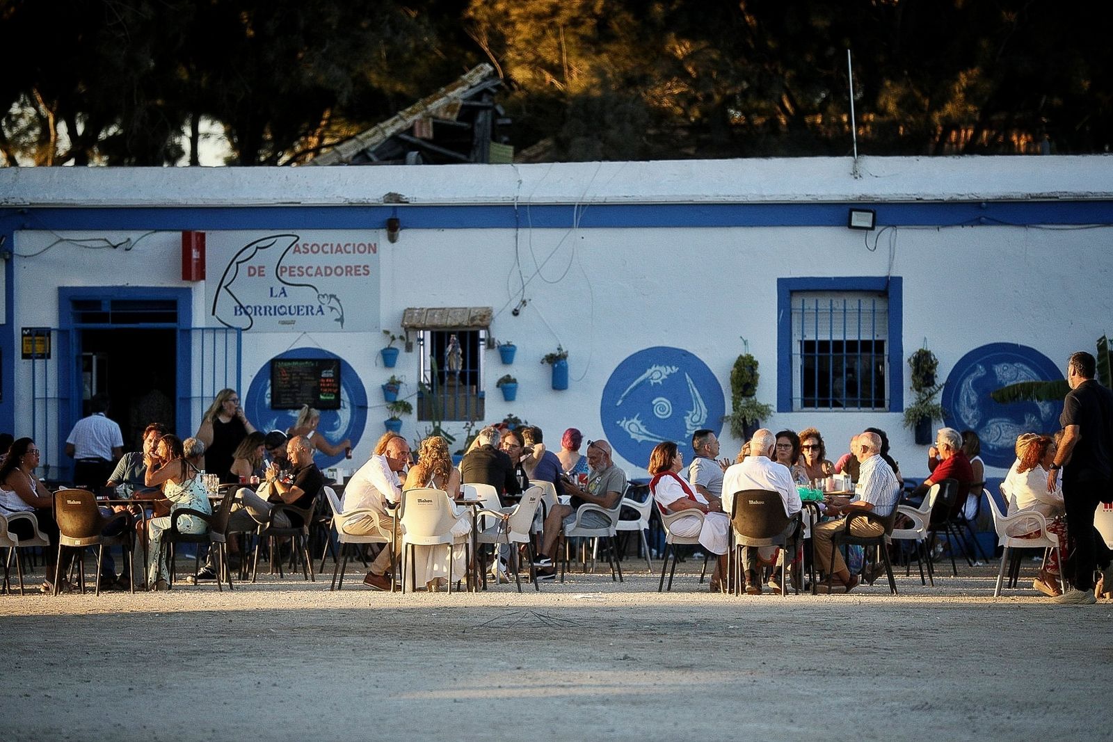 Búscate entre las mejores imágenes del concierto de Il Divo en el Concert Music Festival de Chiclana