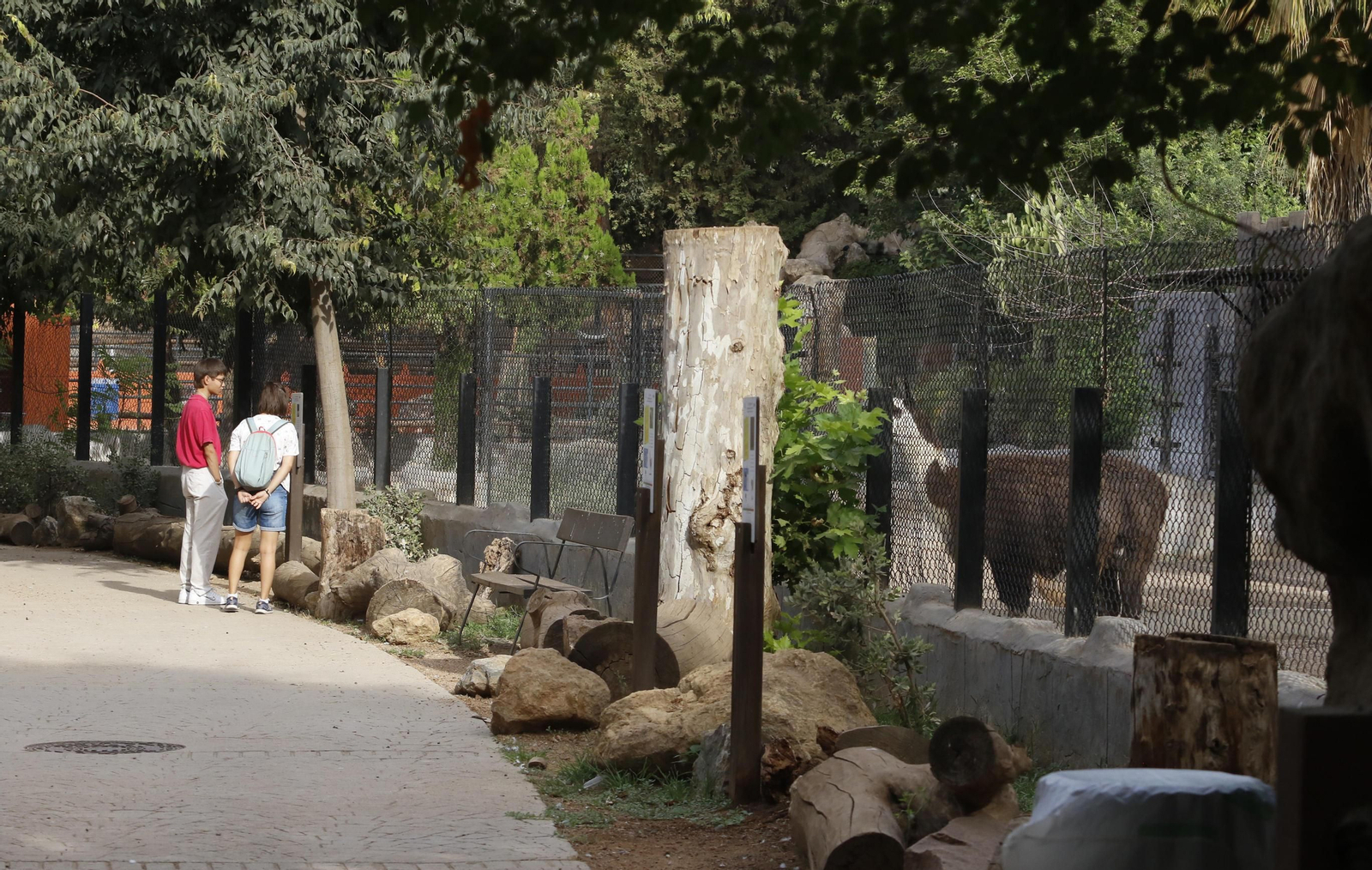 Las imágenes de la reapertura del zoo de Córdoba