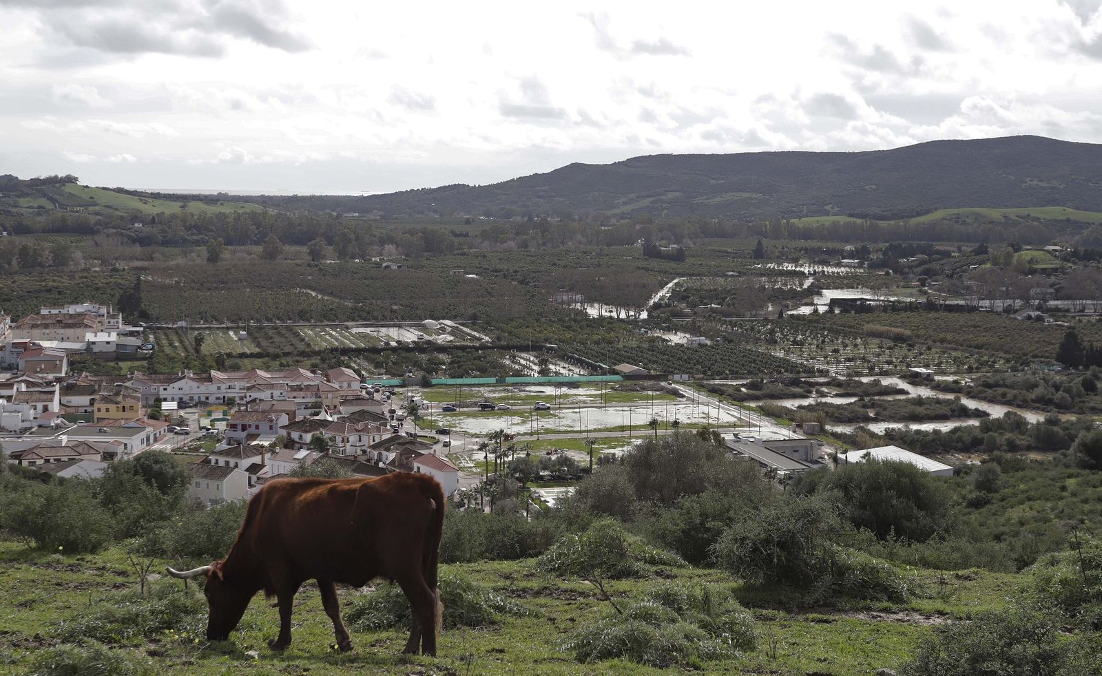 San Martín del Tesorillo después de la borrasca Marta, en imágenes