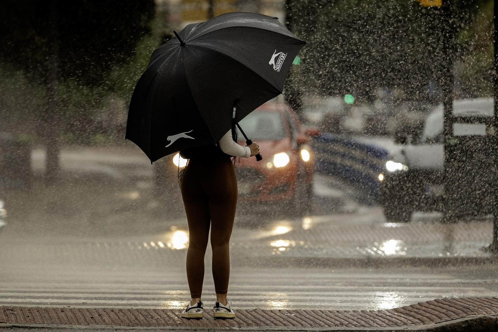 Una mujer se resguarda de la lluvia bajo un paraguas en Málaga. Una mujer se resguarda de la lluvia bajo un paraguas en Málaga.