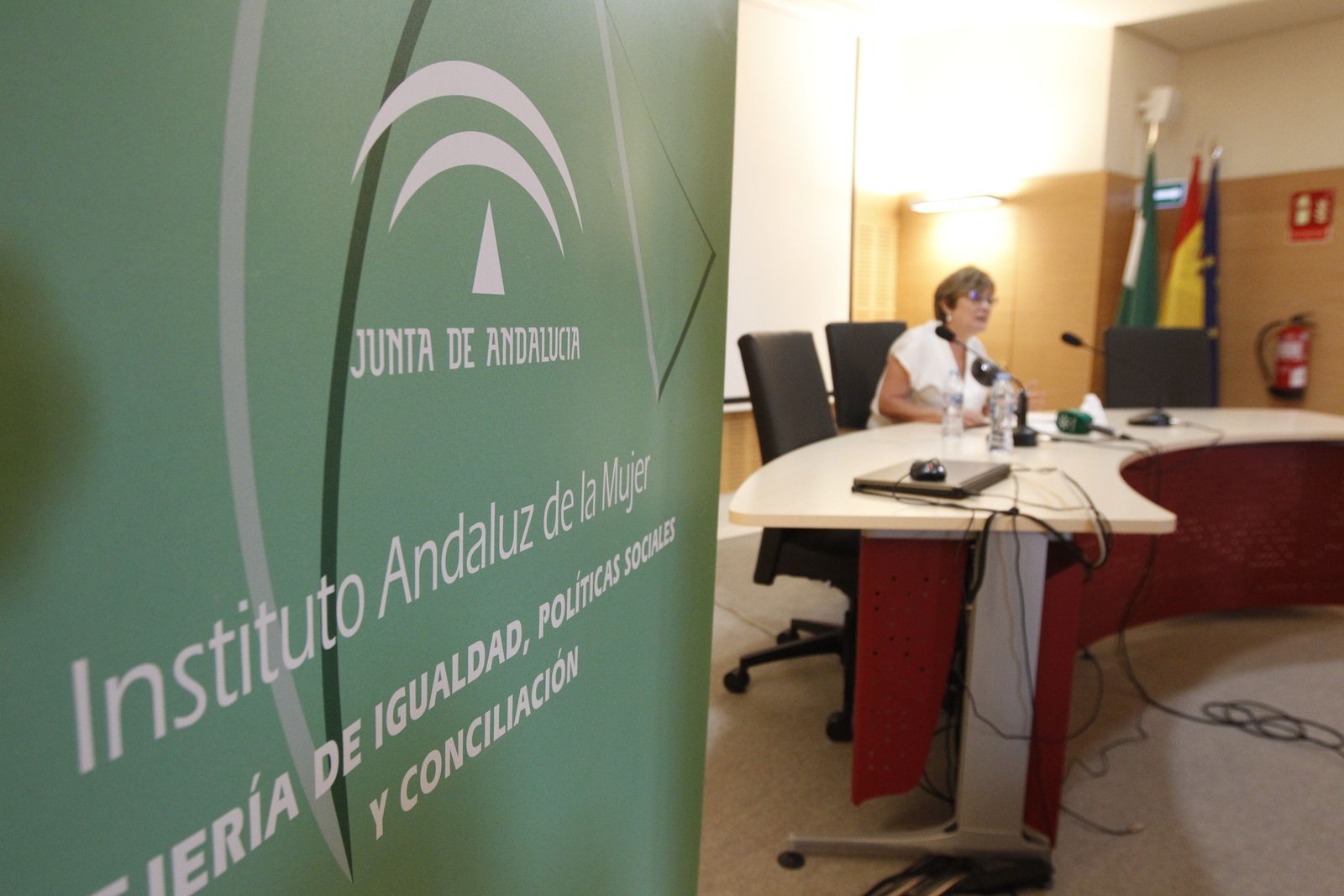 María José Navarro, coordinadora del Instituto Andaluz de la Mujer en Almería
