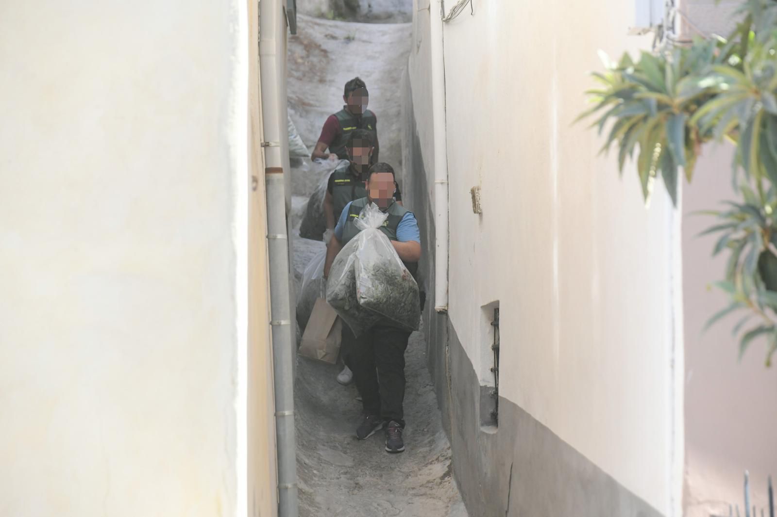 Fotos: así ha sido la operación contra el tráfico de marihuana en Pinos Puente