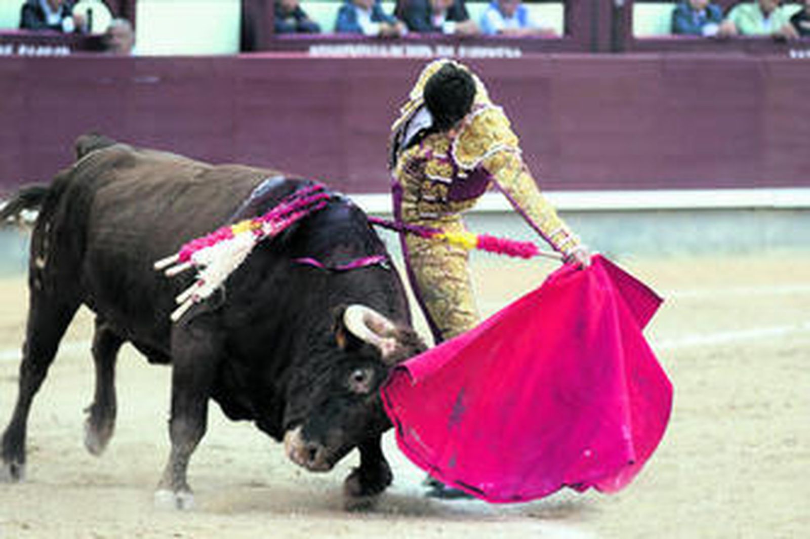 El novillero salmantino Alejandro Marcos, en un natural al quinto novillo de la tarde.