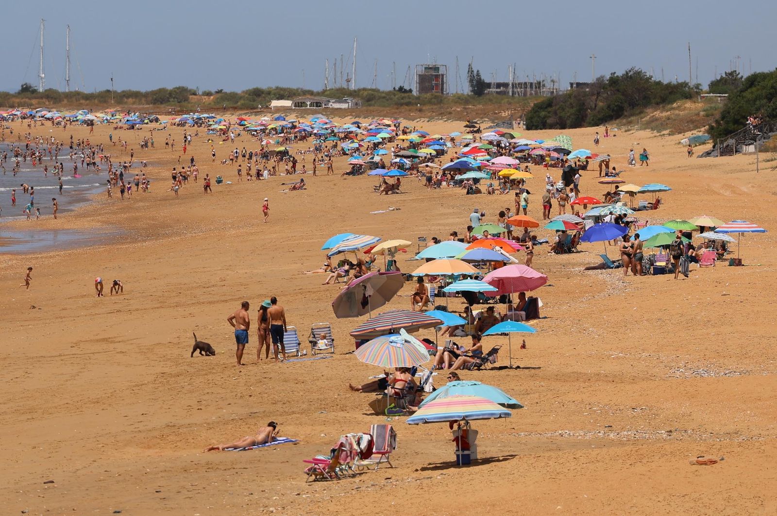 Imágenes del ambiente en las playas de Matalascañas, La Bota y Mazagón durante la mañana del domingo