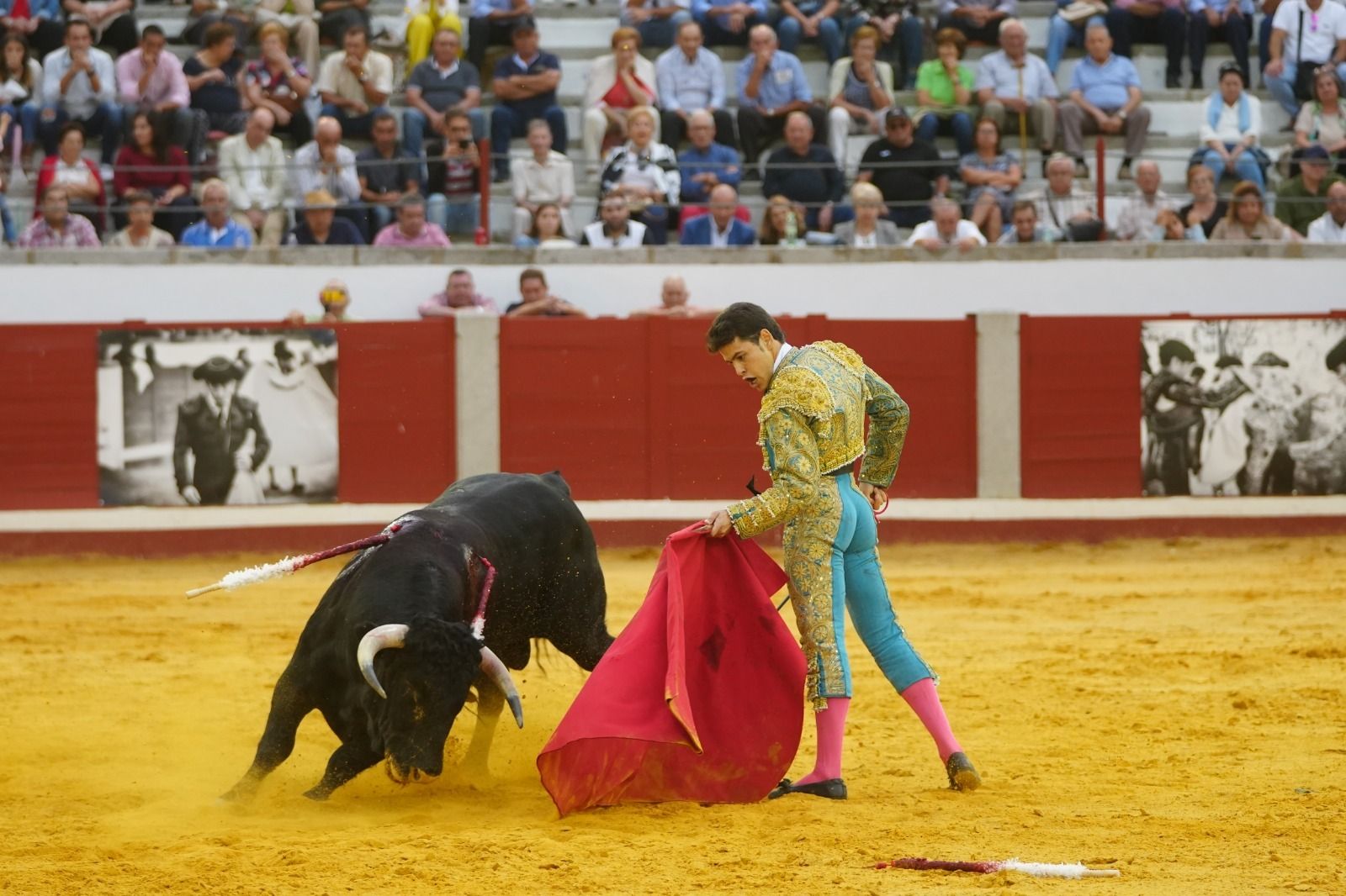 El mano a mano de los novilleros José Antonio de Gracia y El Candela en Pozoblanco, en imágenes