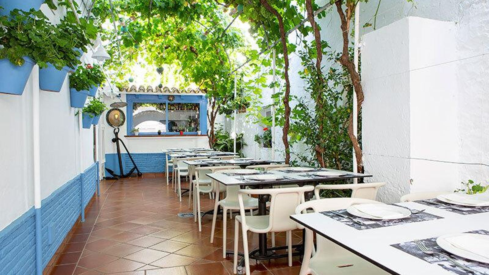 Dónde comer: Taberna El Campero