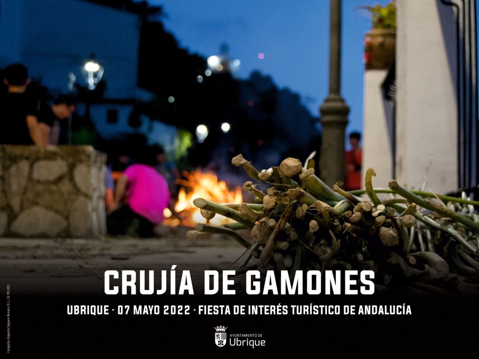 Cartel de la Crujía de gamones 2022, en Ubrique.