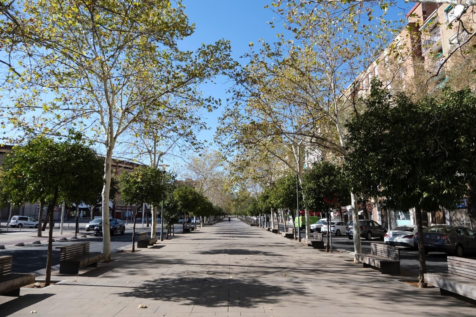 Un paseo en fotografías por la Córdoba desierta de agosto