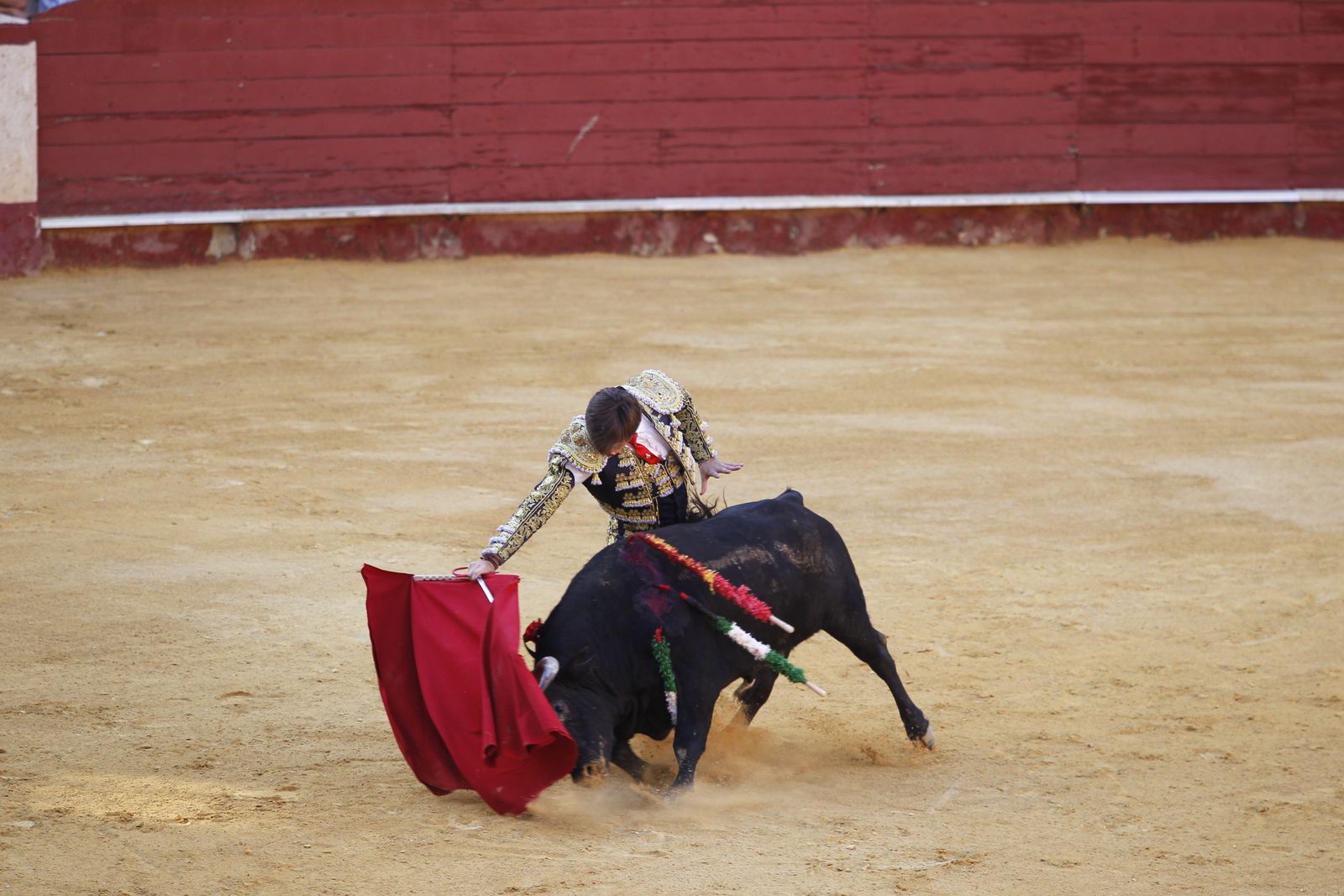 Fotogalería novillada Escuela Taurina de Almería. Feria de Almería 2019