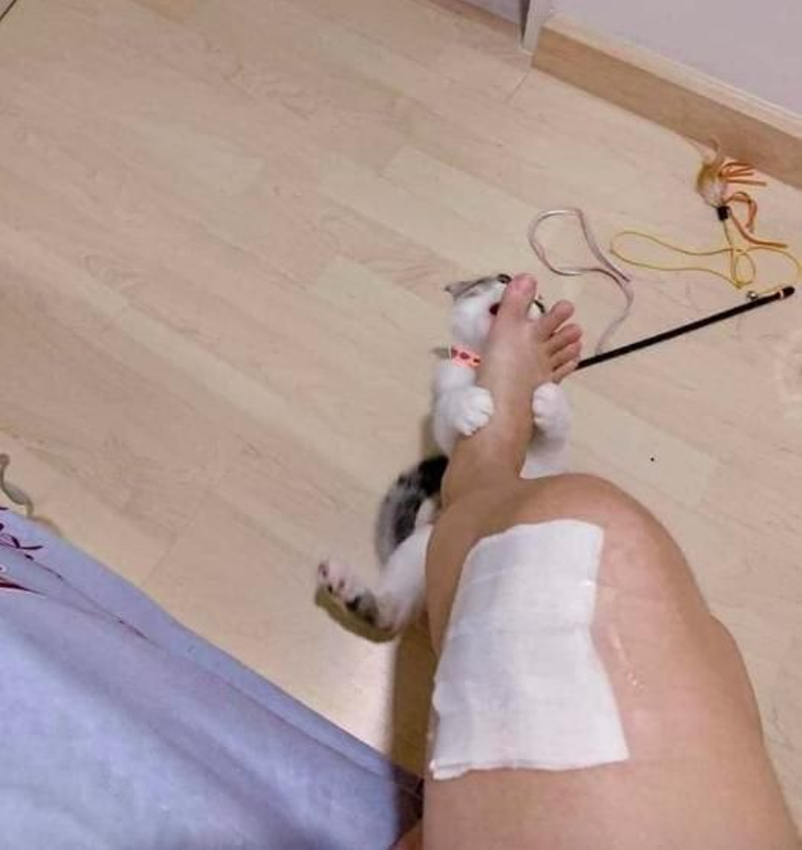 No le deja curarse su herida