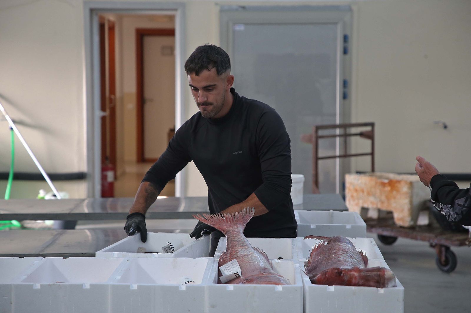 El puerto pesquero de La Línea, en imágenes