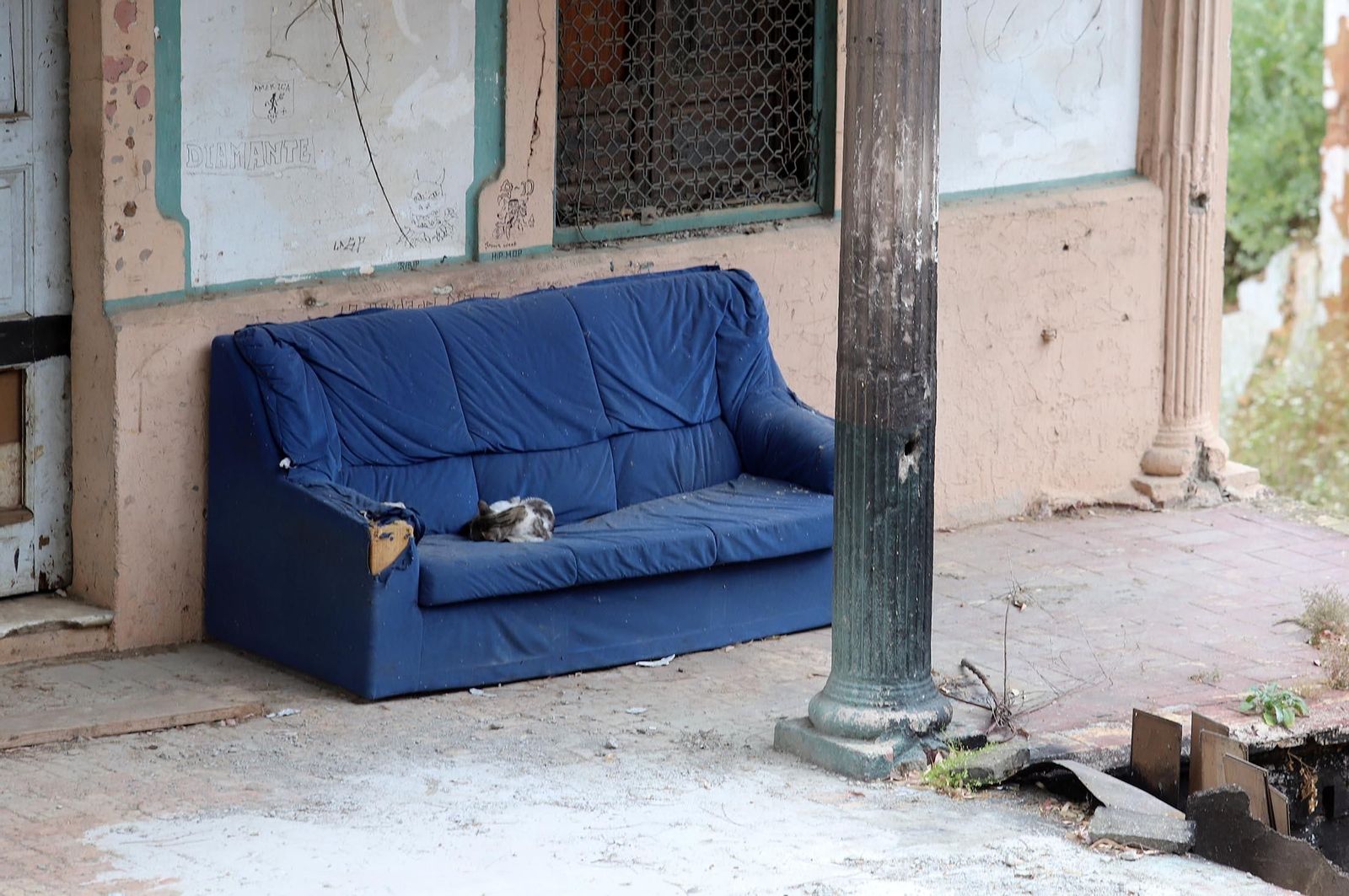Imágenes del lamentable estado en el que se encuentra la casa  Villa Rosa en el conquero