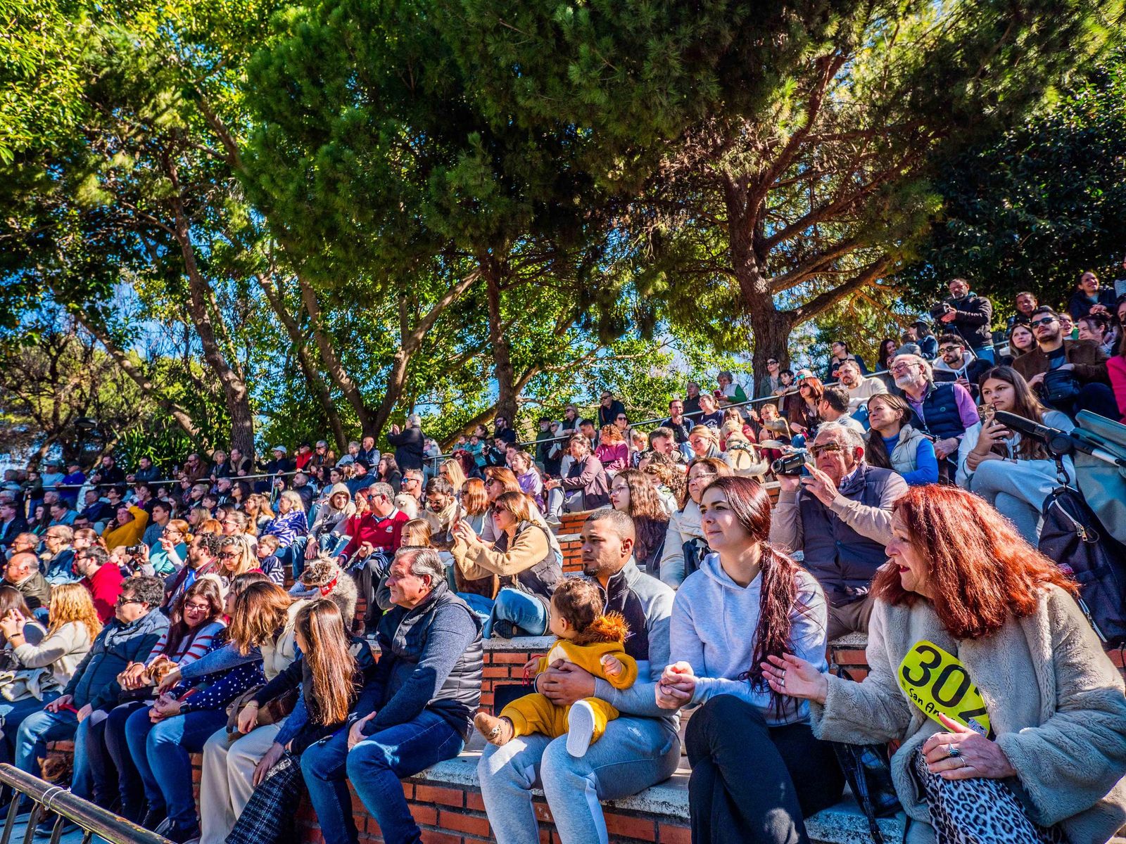Las imágenes de San Antón 2025 en San Fernando