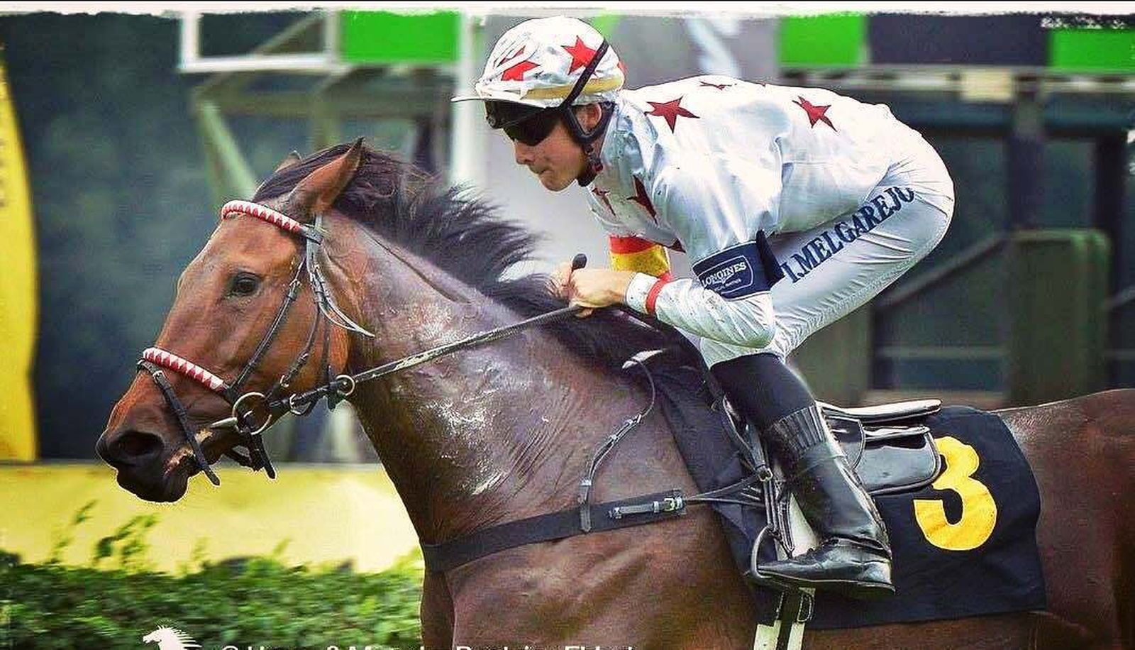 Ignacio Melgarejo, durante una de las carreras de turf.