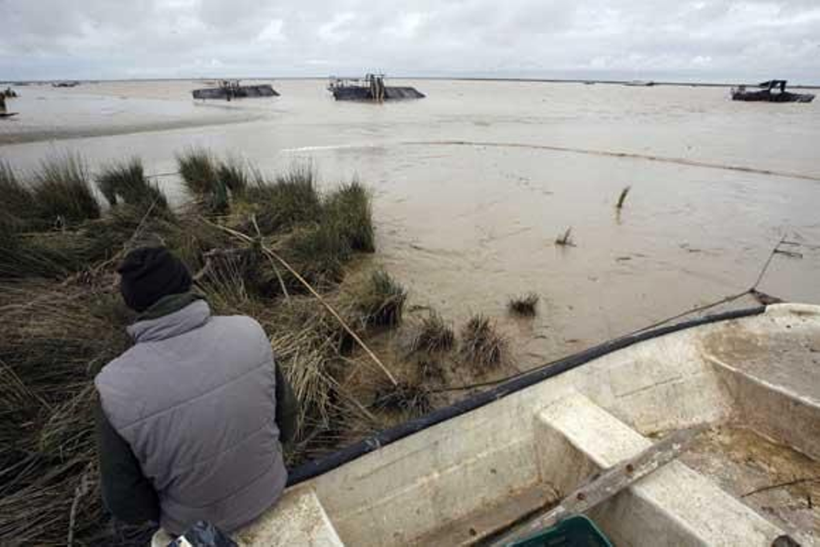 Un riachero observa desde la orilla tres de las embarcaciones que faenan en el Guadalquivir.

Foto: Borja Benjumeda