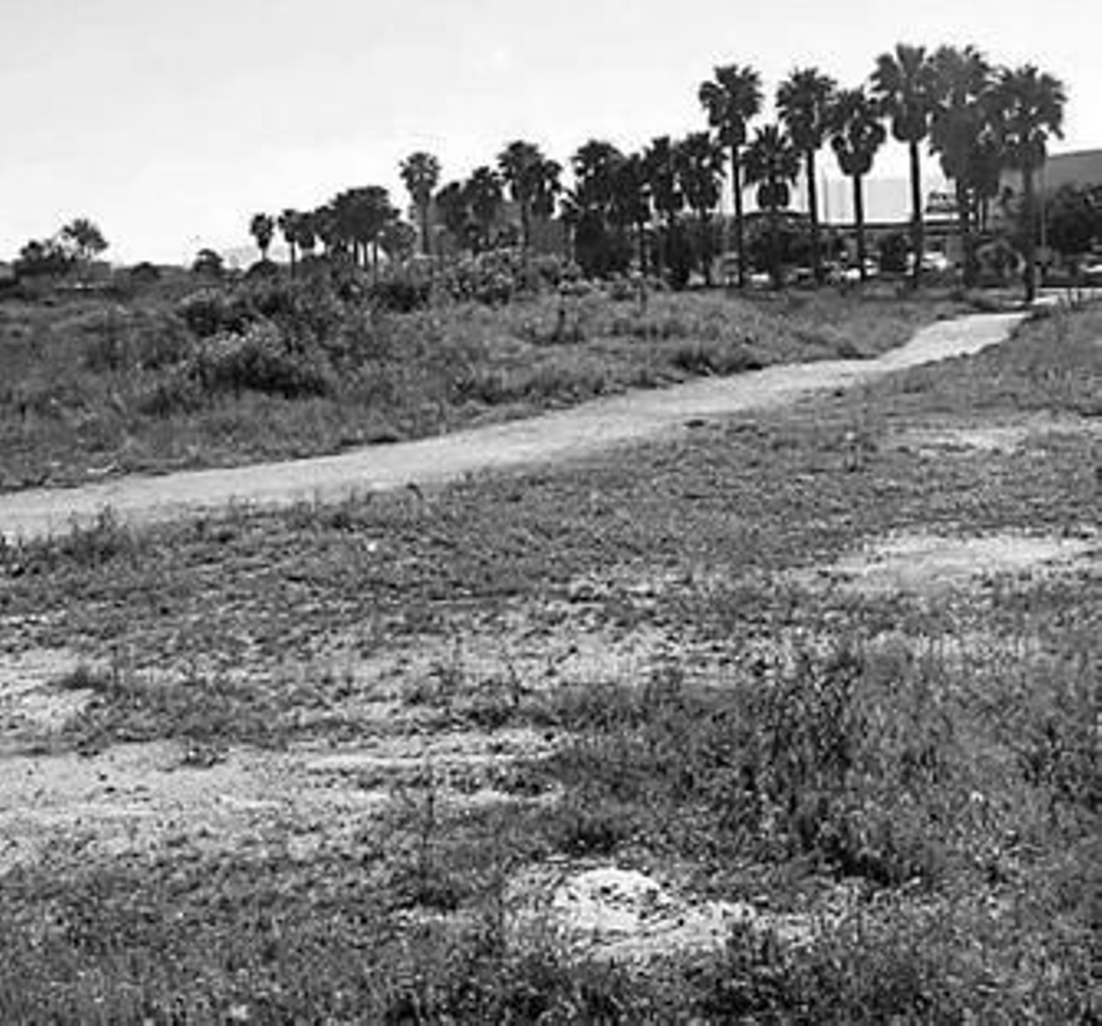 Instantánea parcial de los terrenos que el Ayuntamiento vendió a Roseworld.