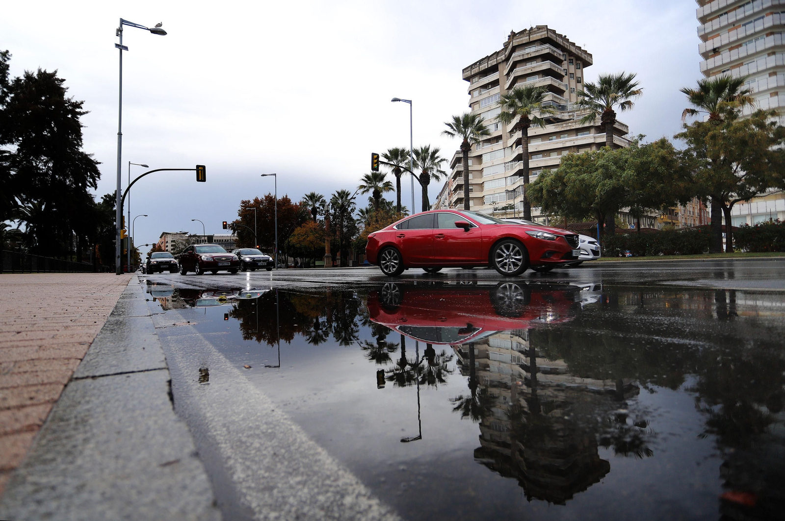 Imágenes del domingo 21 de noviembre en Huelva