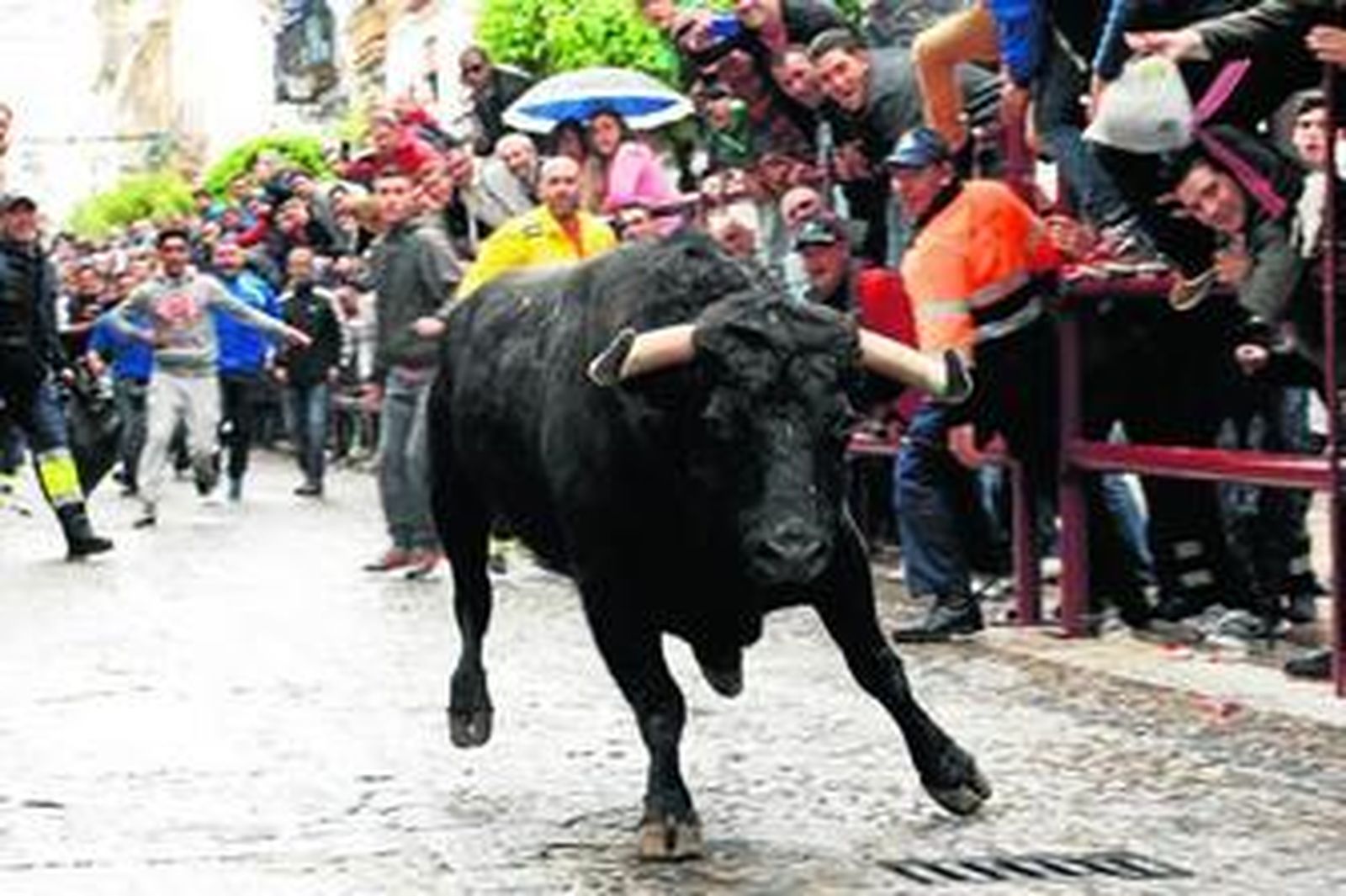 Un herido grave por una fuerte cornada en el abdomen en Arcos