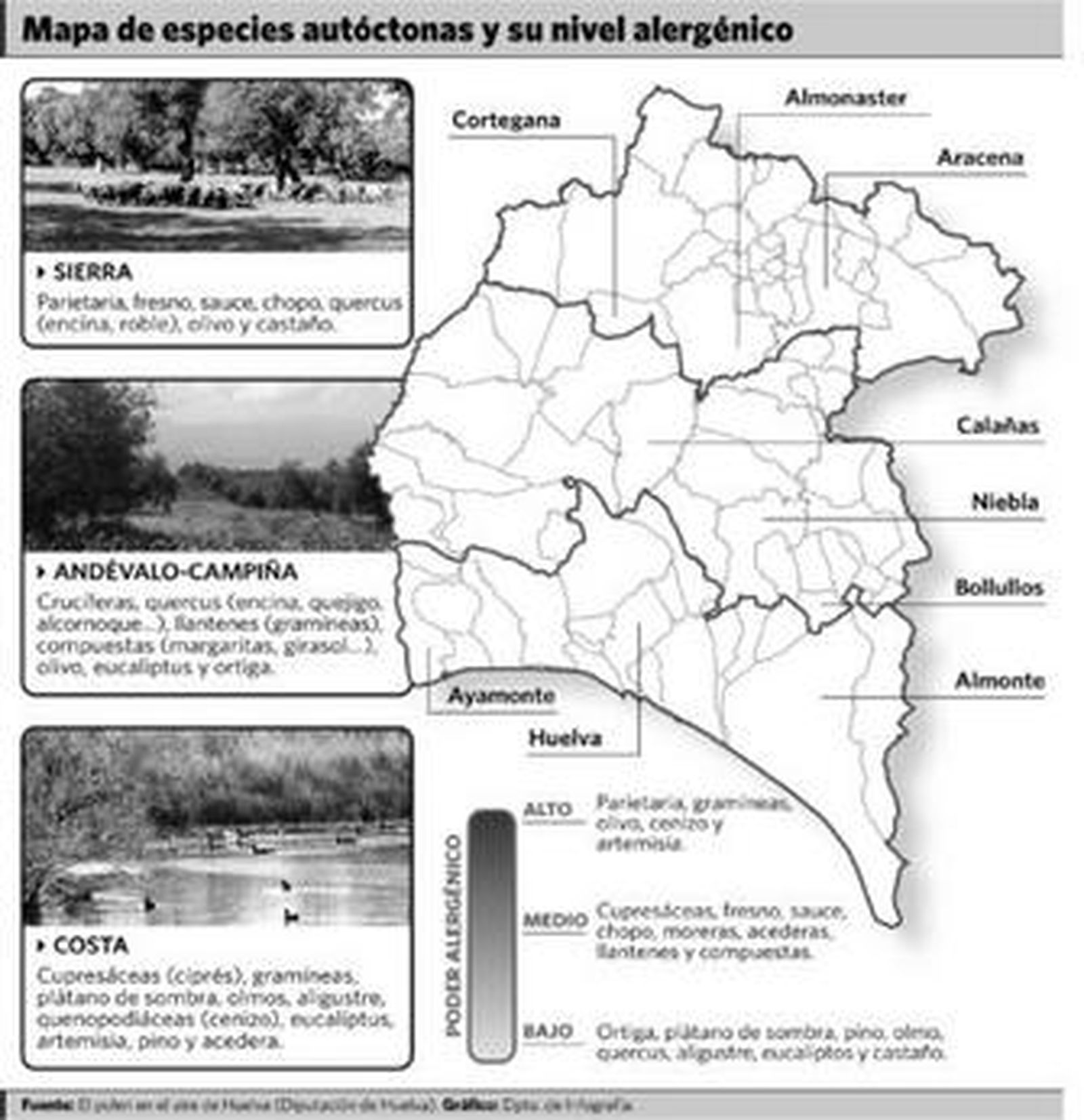 El nivel de alergias no alcanza los altos niveles previstos para este año