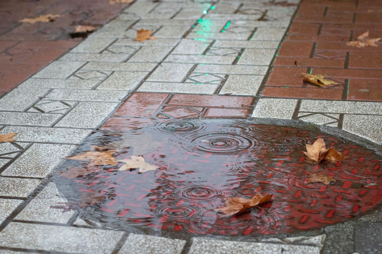 Granada bajo el temporal: imágenes de la ciudad durante la alerta naranja