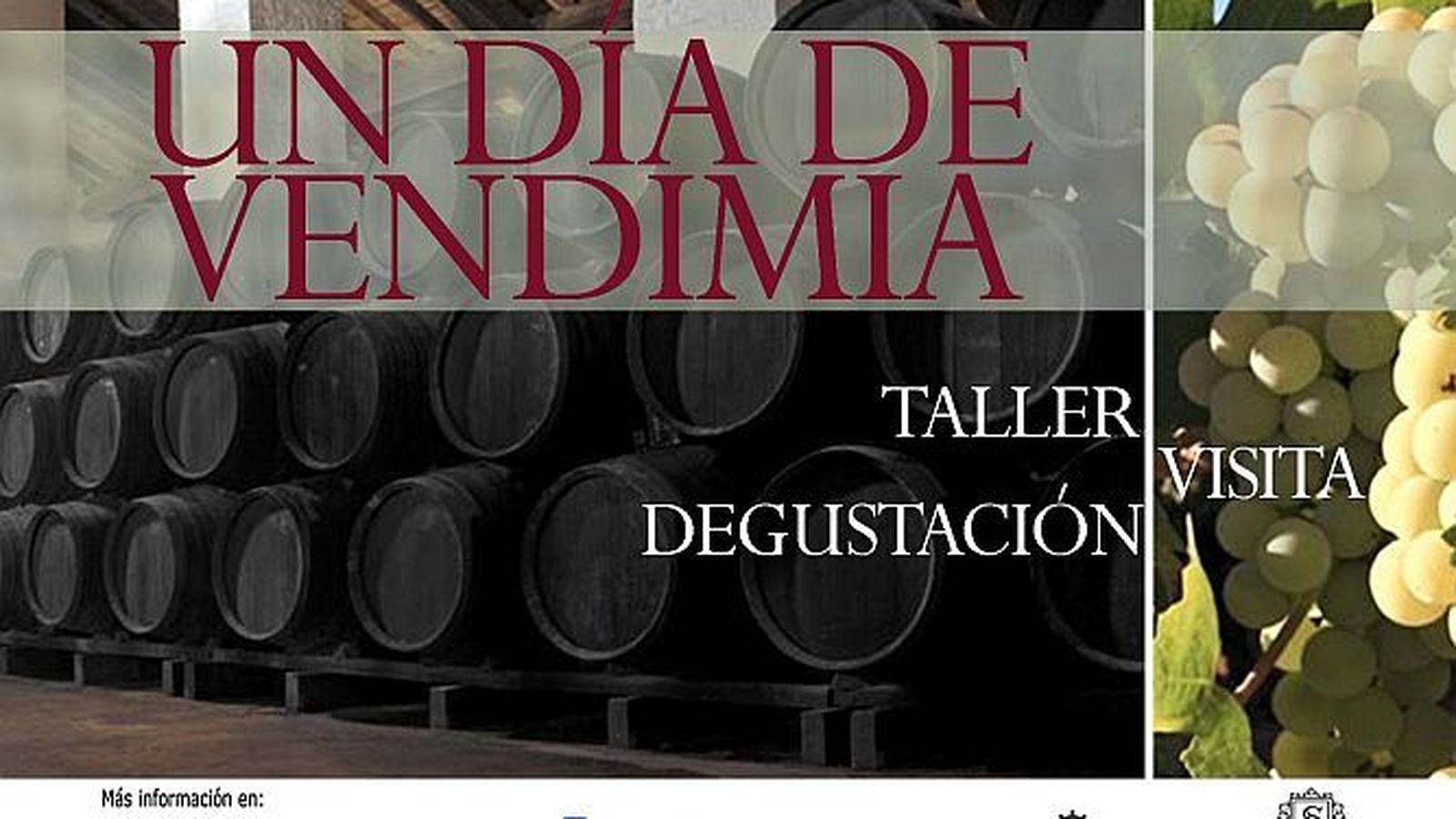 El cartel anunciador de la actividad