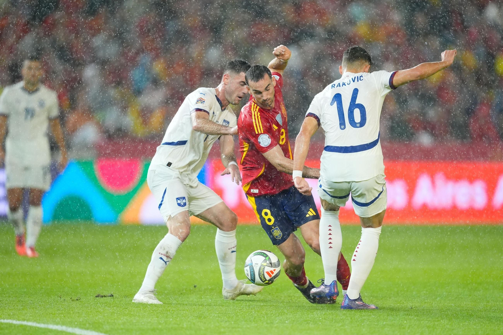 Las fotos del España - Serbia en Córdoba