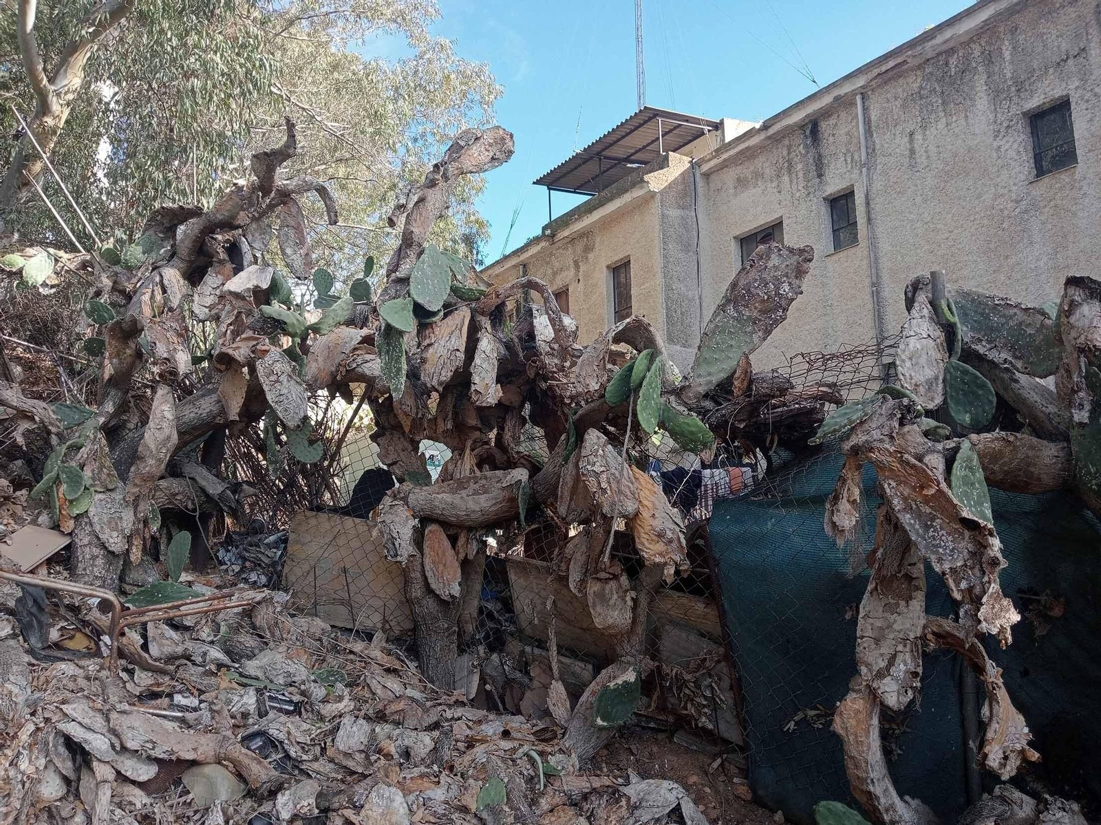 Barrio a Barrio: Imágenes de San Antonio