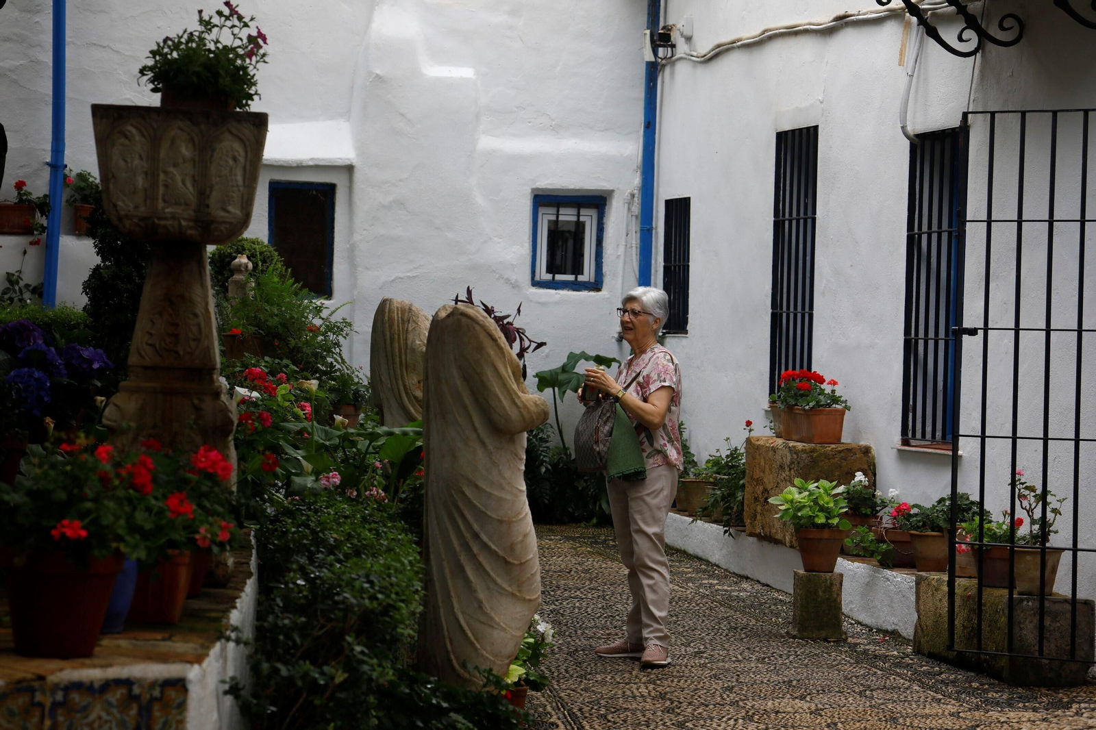 Los patios de Córdoba de la ruta Judería-San Francisco, en imágenes