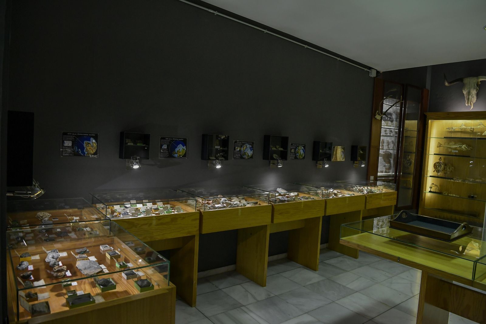 La inauguración del Museo de Ciencia del IES Padre Suárez de Granada, en imágenes