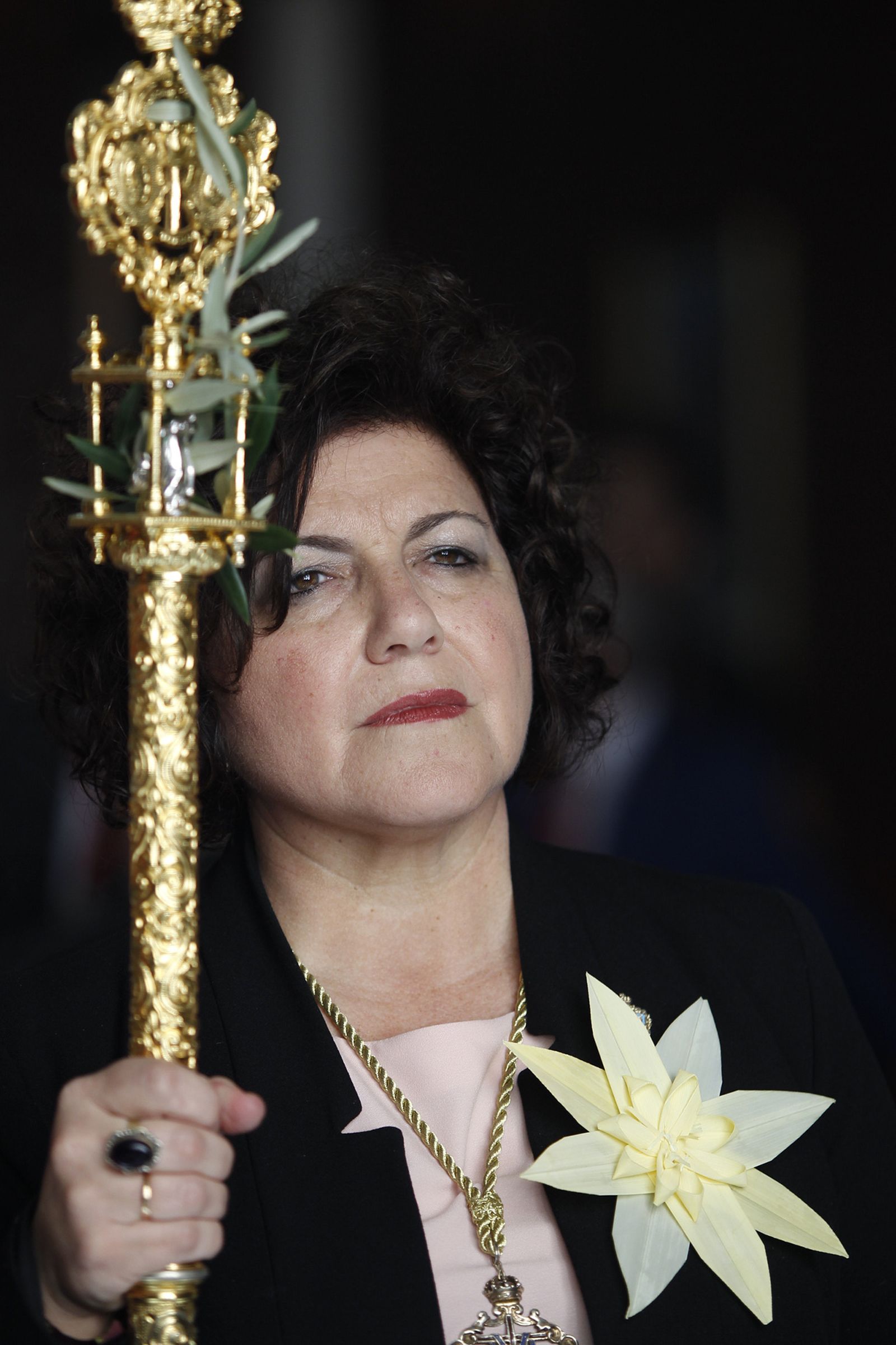 Imágenes Procesión de la Borriquita de Almería capital. Semana Santa 2019