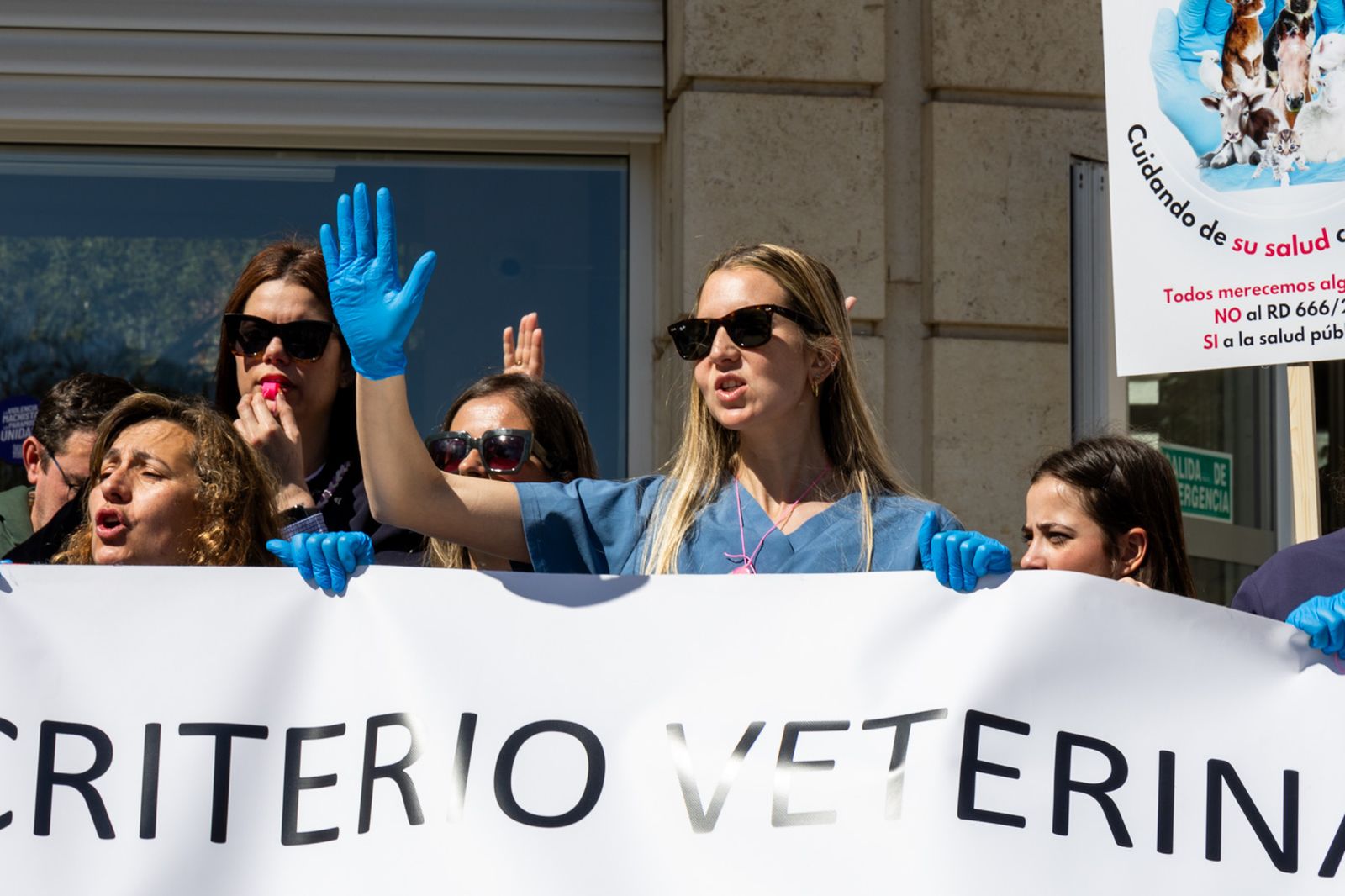Concentración de veterinarios en protesta contra el real decreto 666/2023