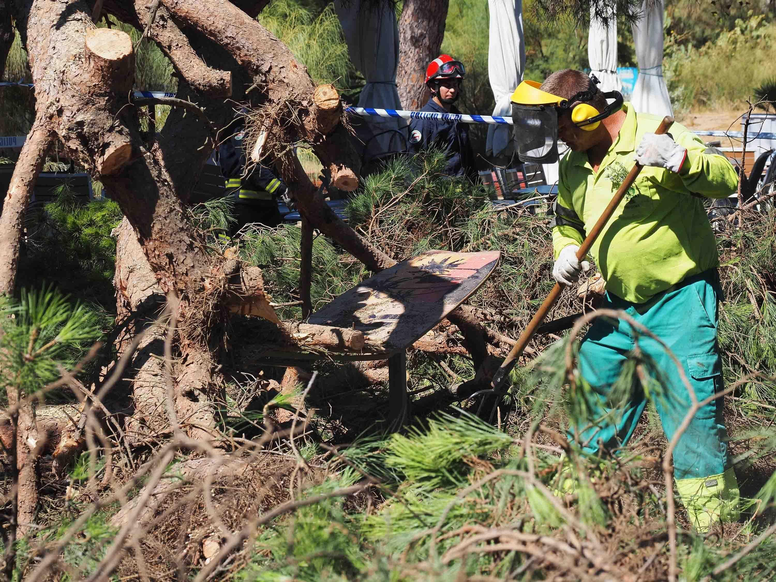 Un pino cae sobre las mesas de un restaurante en Nuevo Portil.