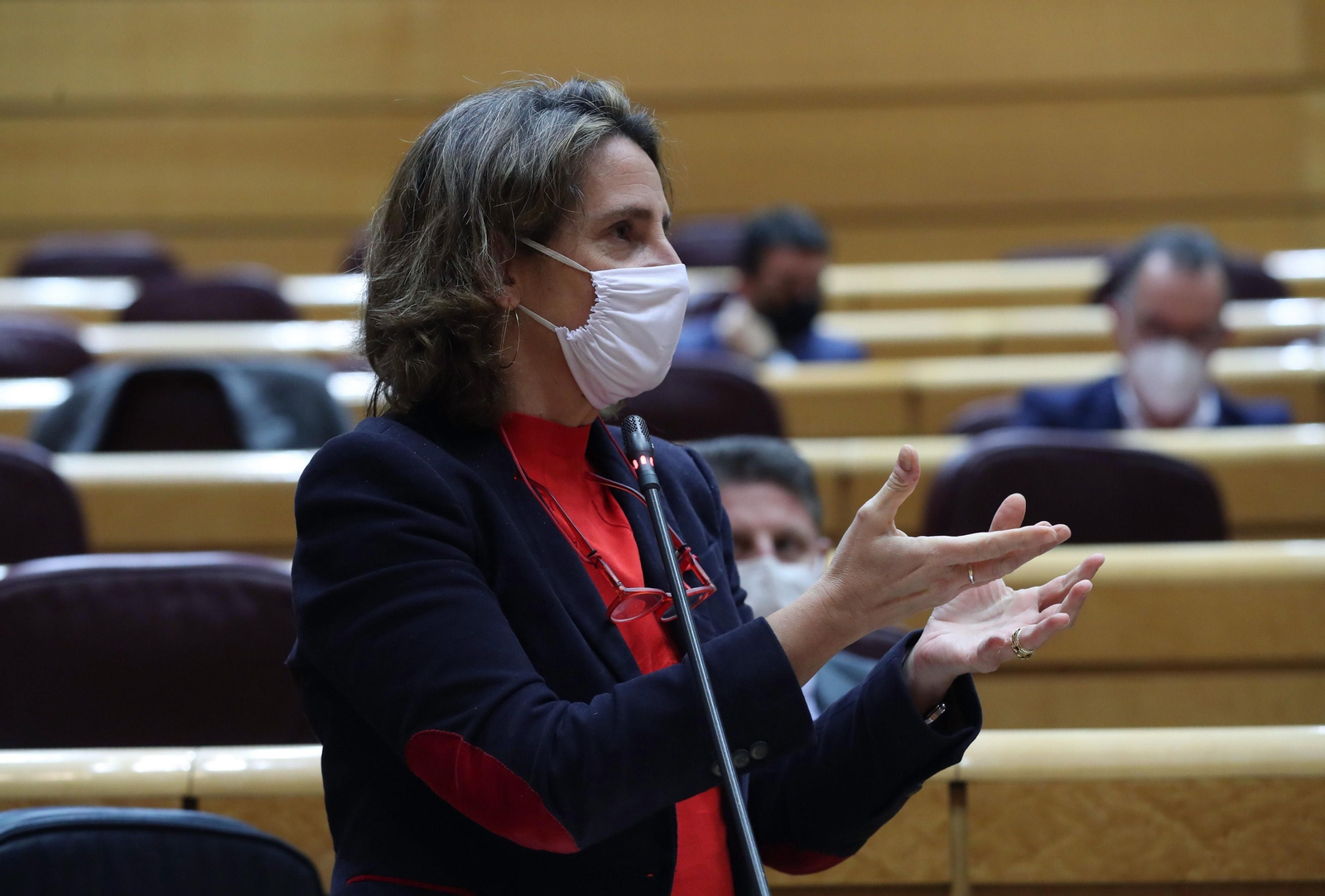 La vicepresidenta cuarta y ministra para la Transición Ecológica Teresa  Ribera , durante la sesión de control en el Pleno del Senado.