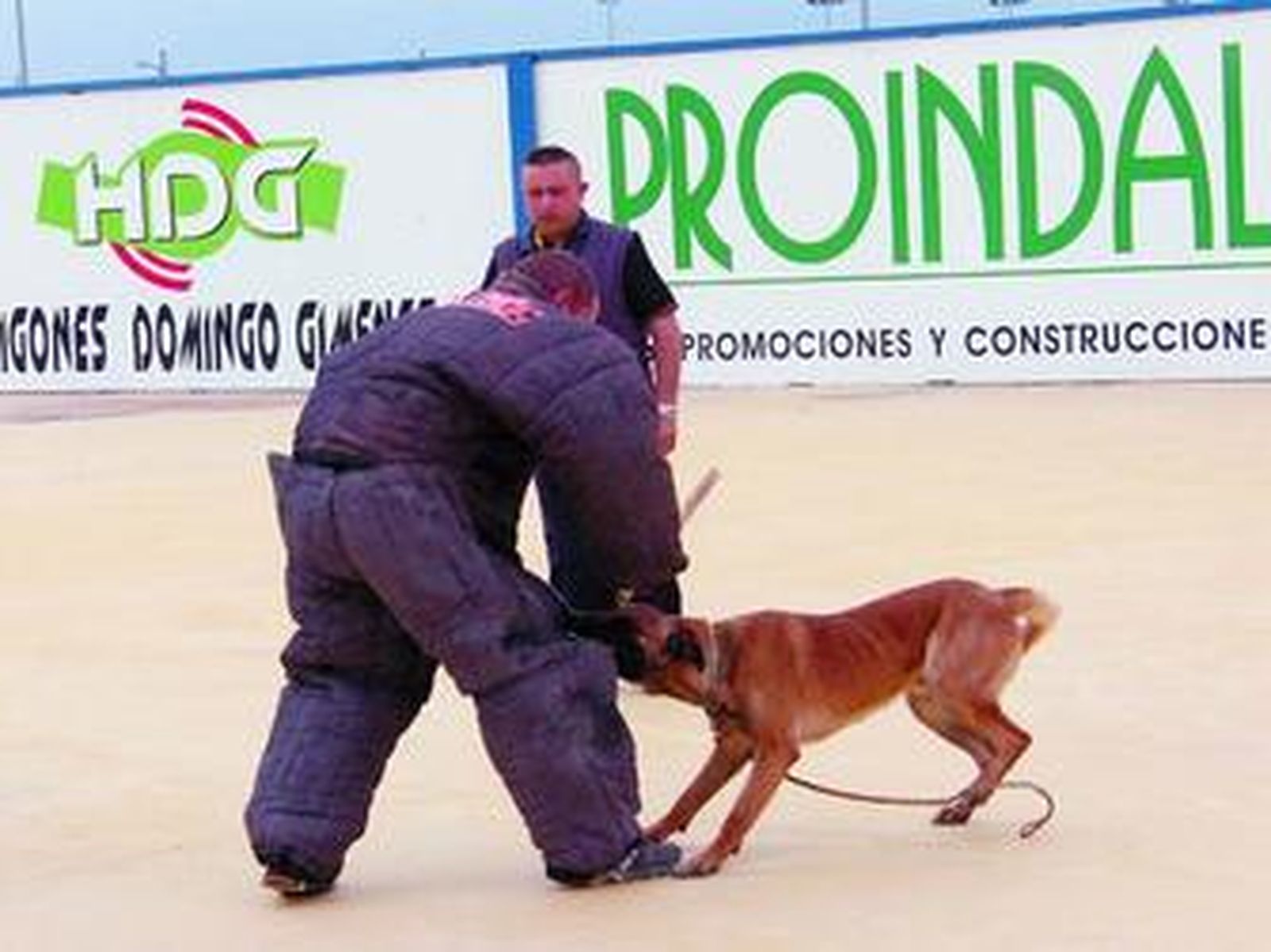 Los alumnos recibieron clases prácticas con los animales.