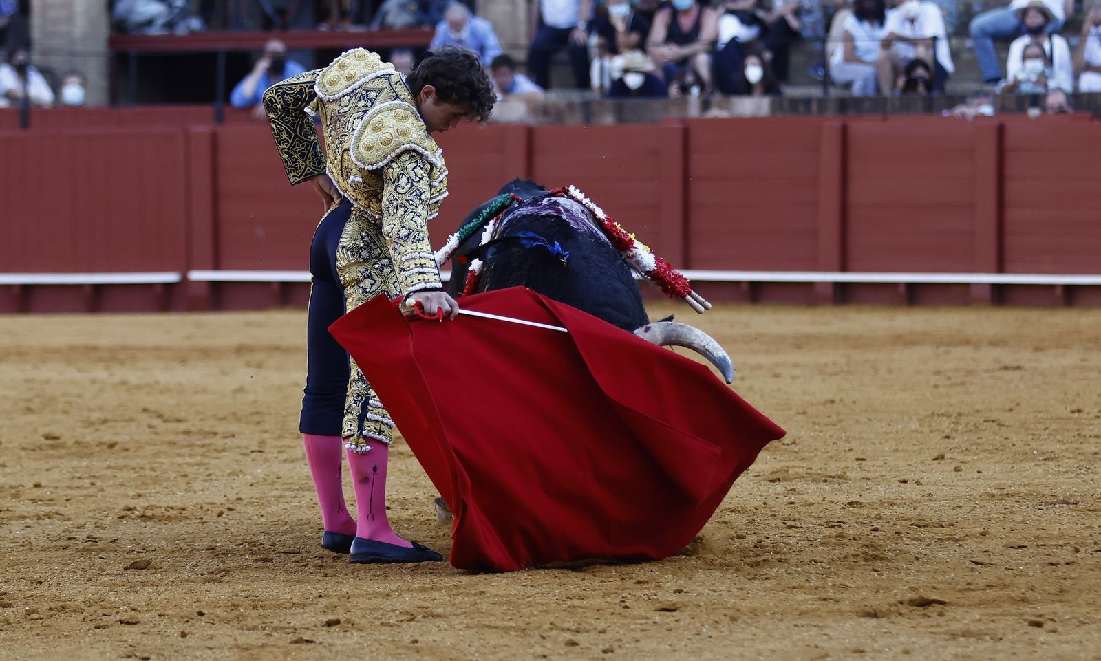 Fotos de la segunda novillada de la feria de San Miguel de Sevilla
