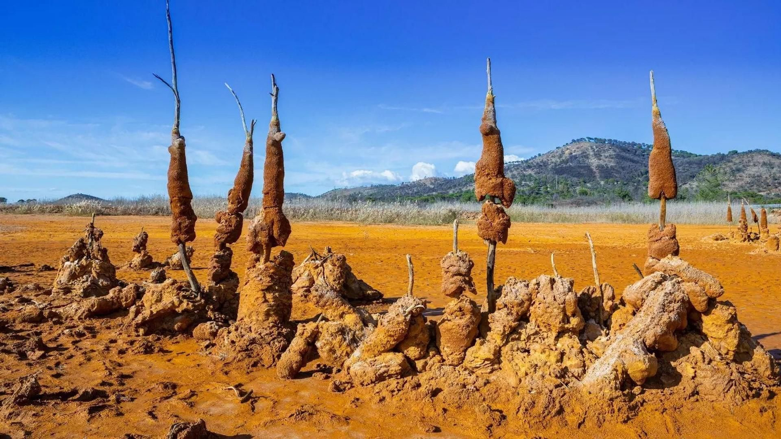 Un paisaje insólito en el corazón de Huelva