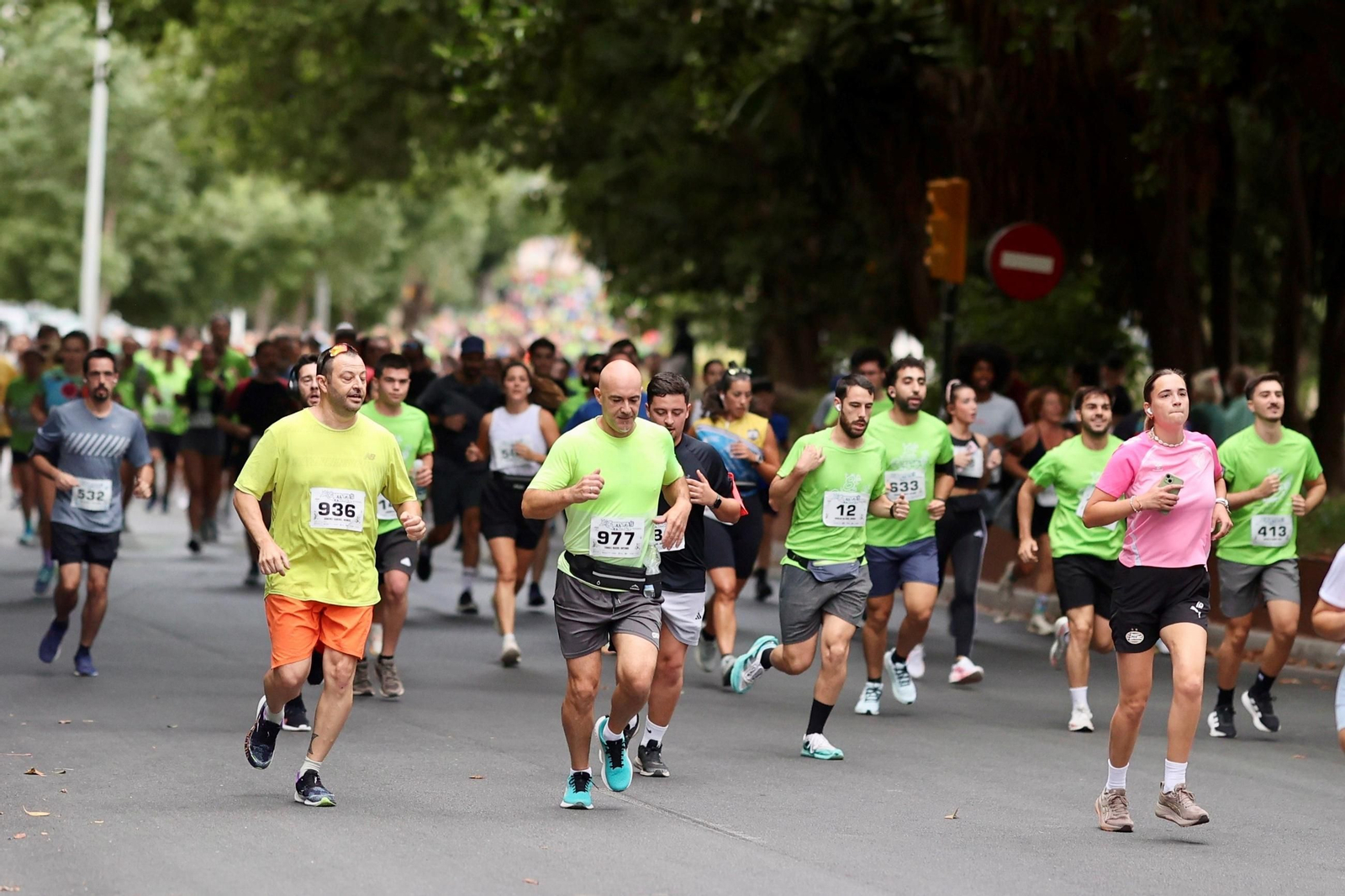 Las fotos de la VIII Carrera de la Prensa y la IV Marcha Solidaria de Málaga
